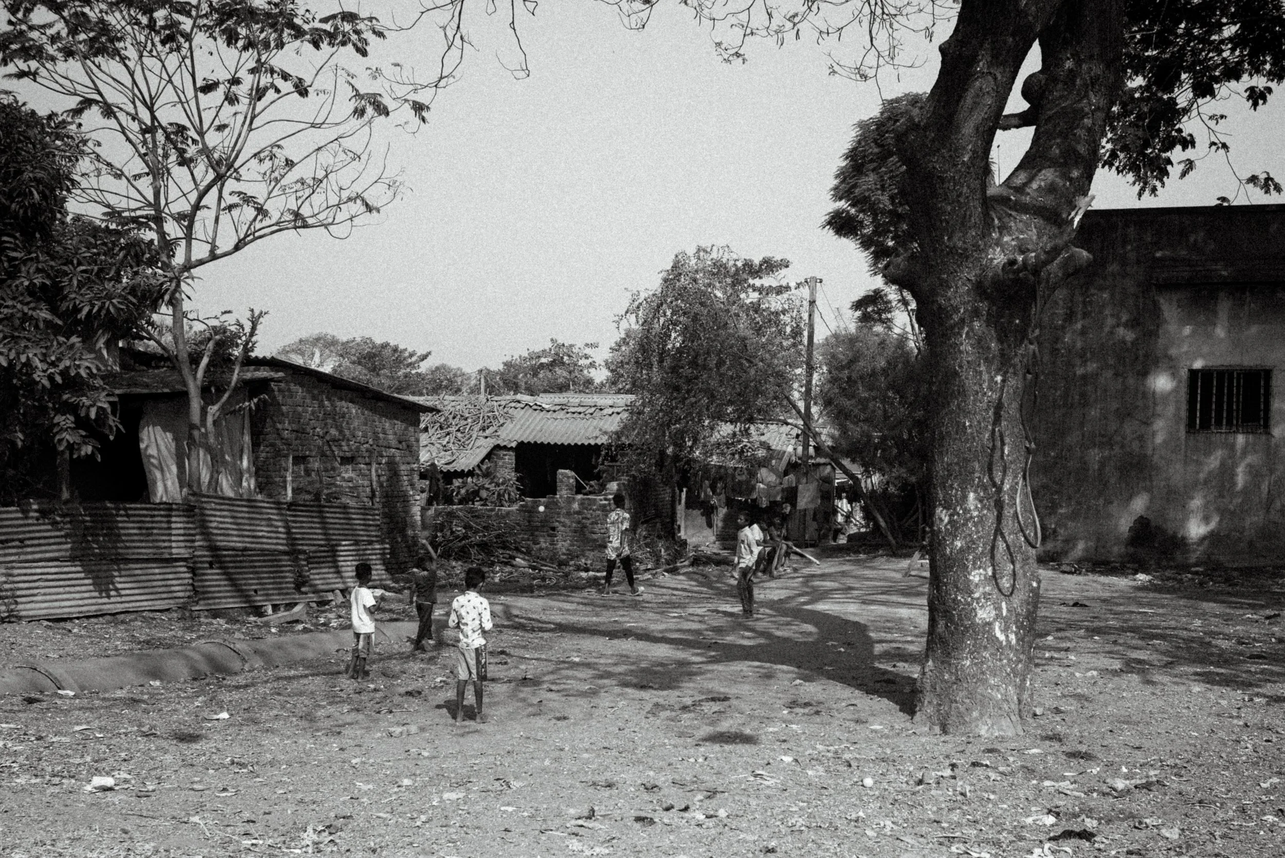 L1003125.jpg