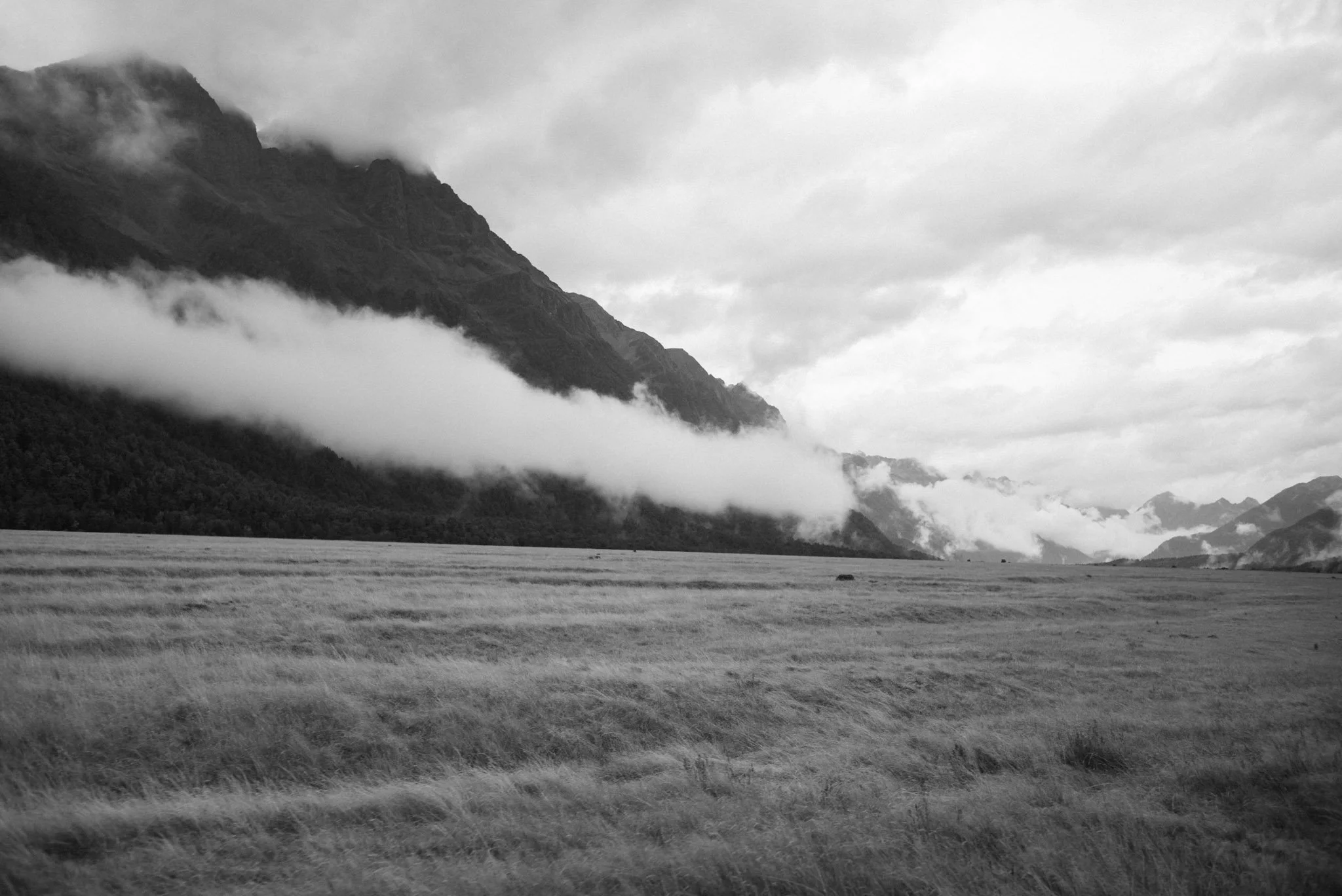 L1005652.jpg