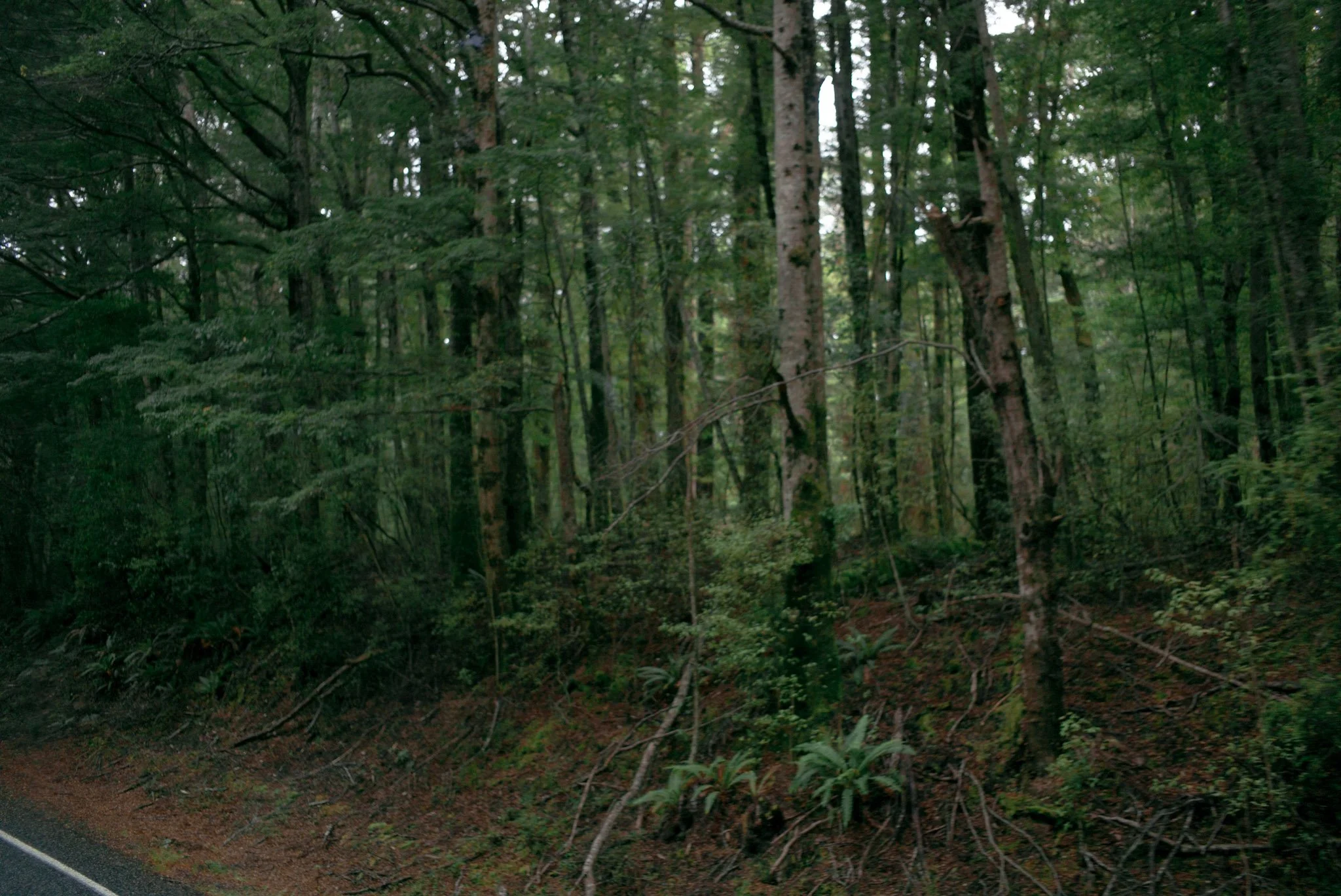L1005611.jpg