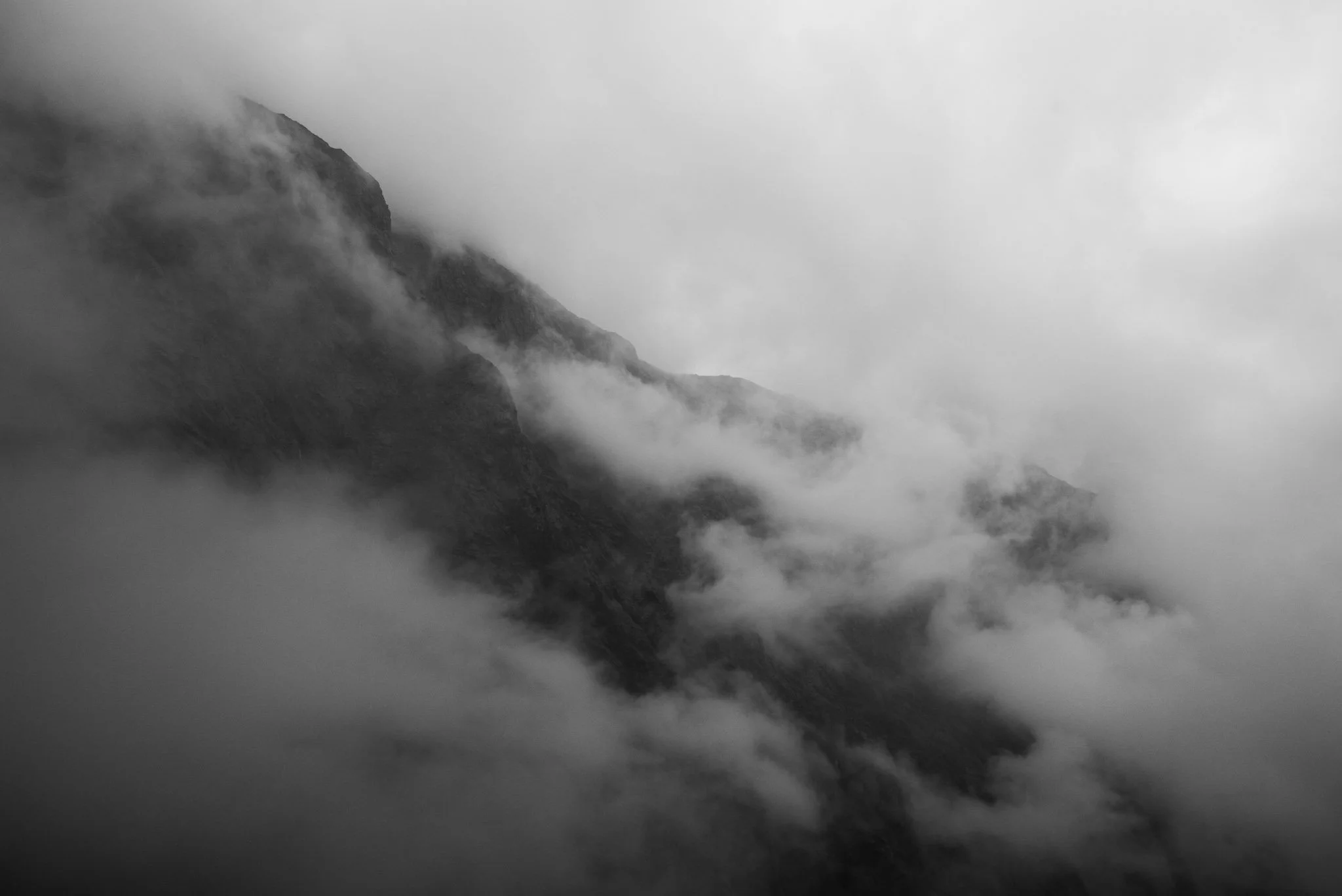 L1005747.jpg