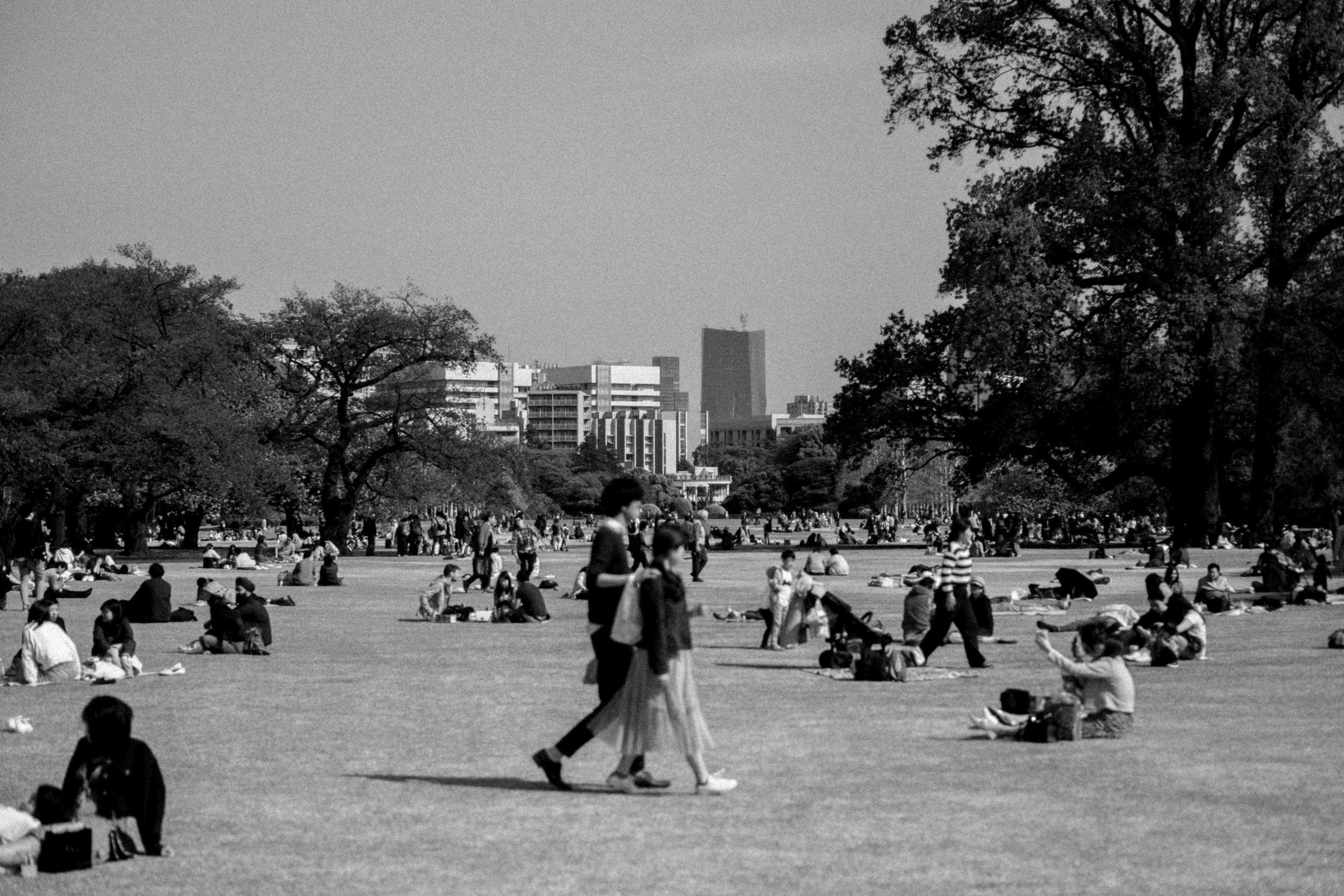 DSCF1356.jpg