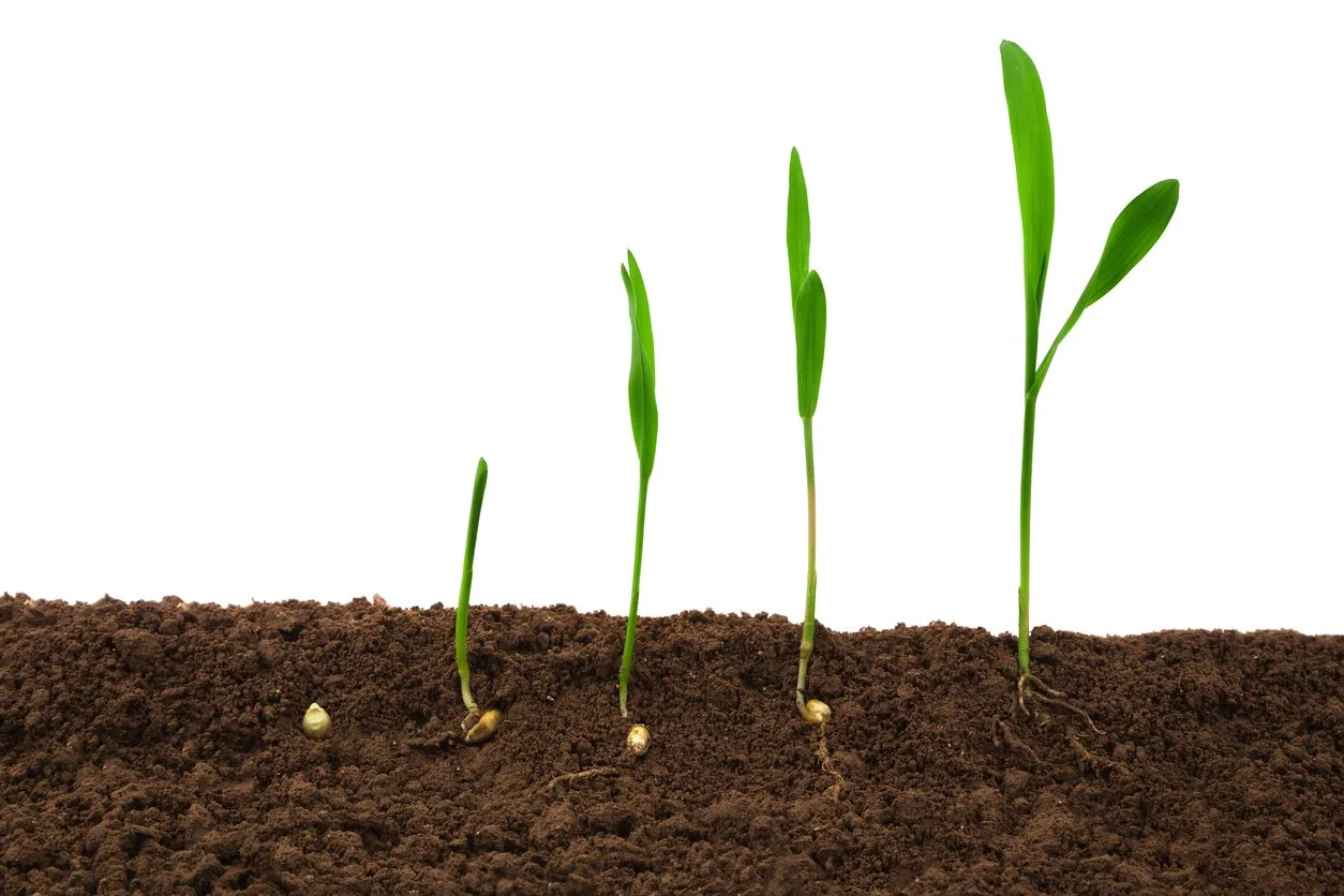 Why Legal Demand Is Unpredictable and What That Means for Business Development
