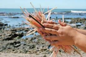 Do Straws Really Matter?