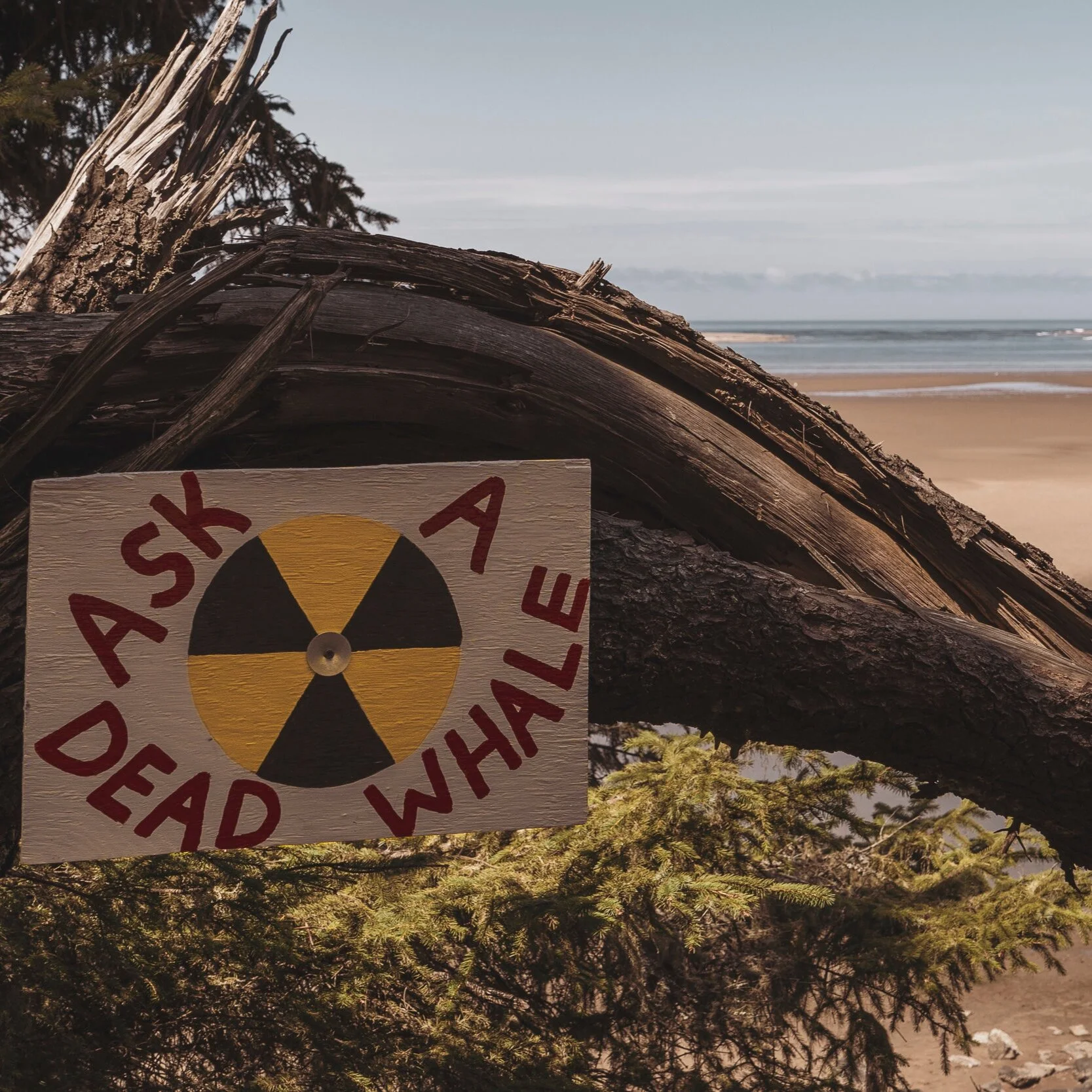 The Everlasting Eco-Accessory