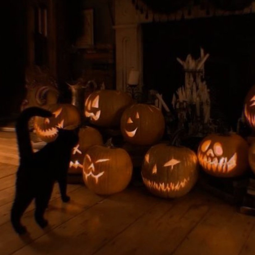 Spook Your Space: Halloween Decor for Under $25