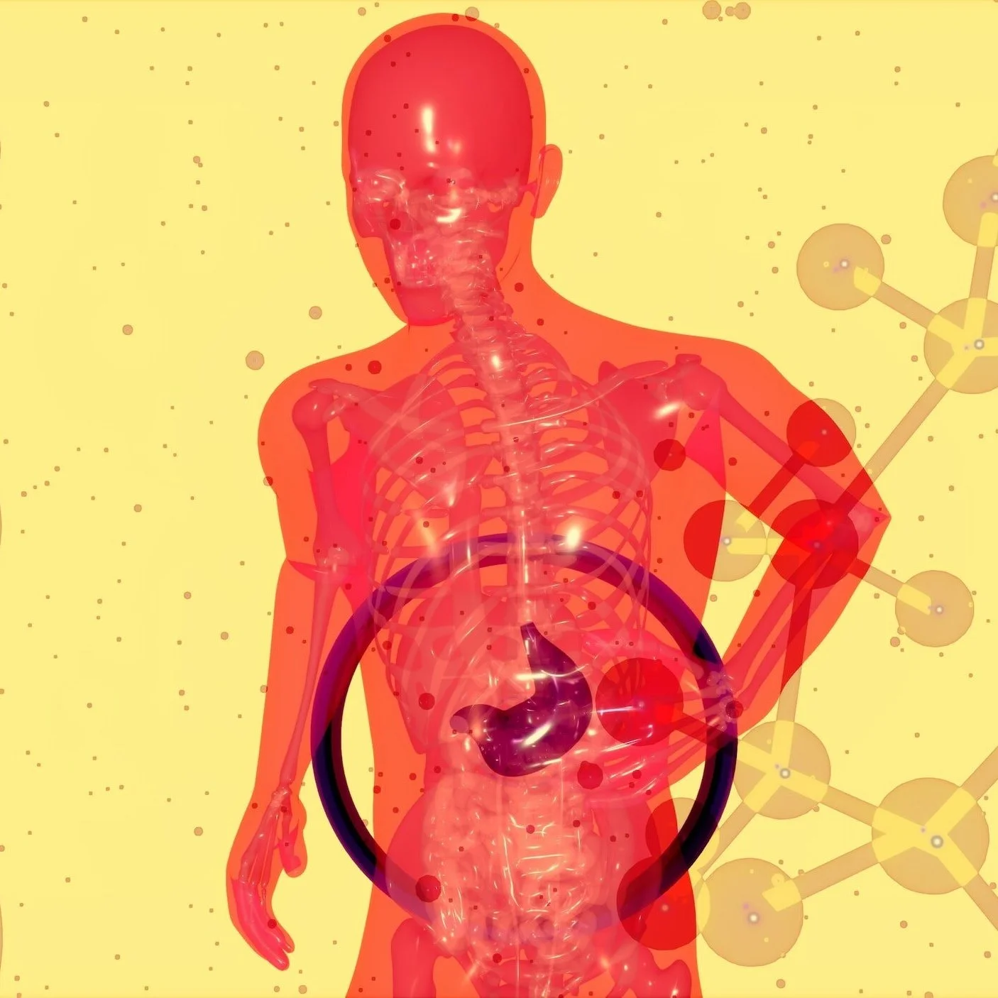  Gut Feeling: Repairing Your Gut Microbiome for Skin Health