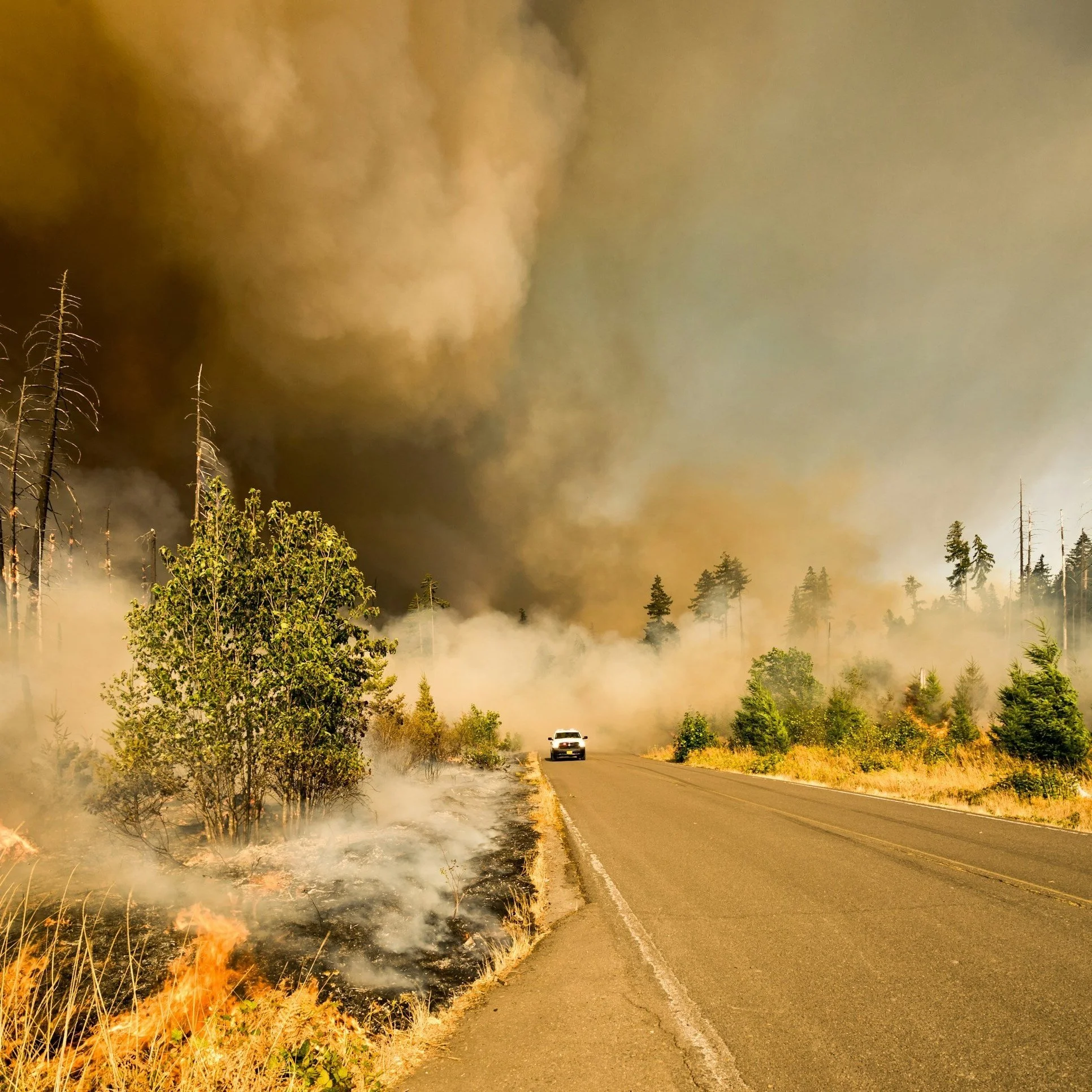 Canadian Wildfires Causing Poor Air Pollution in NYC