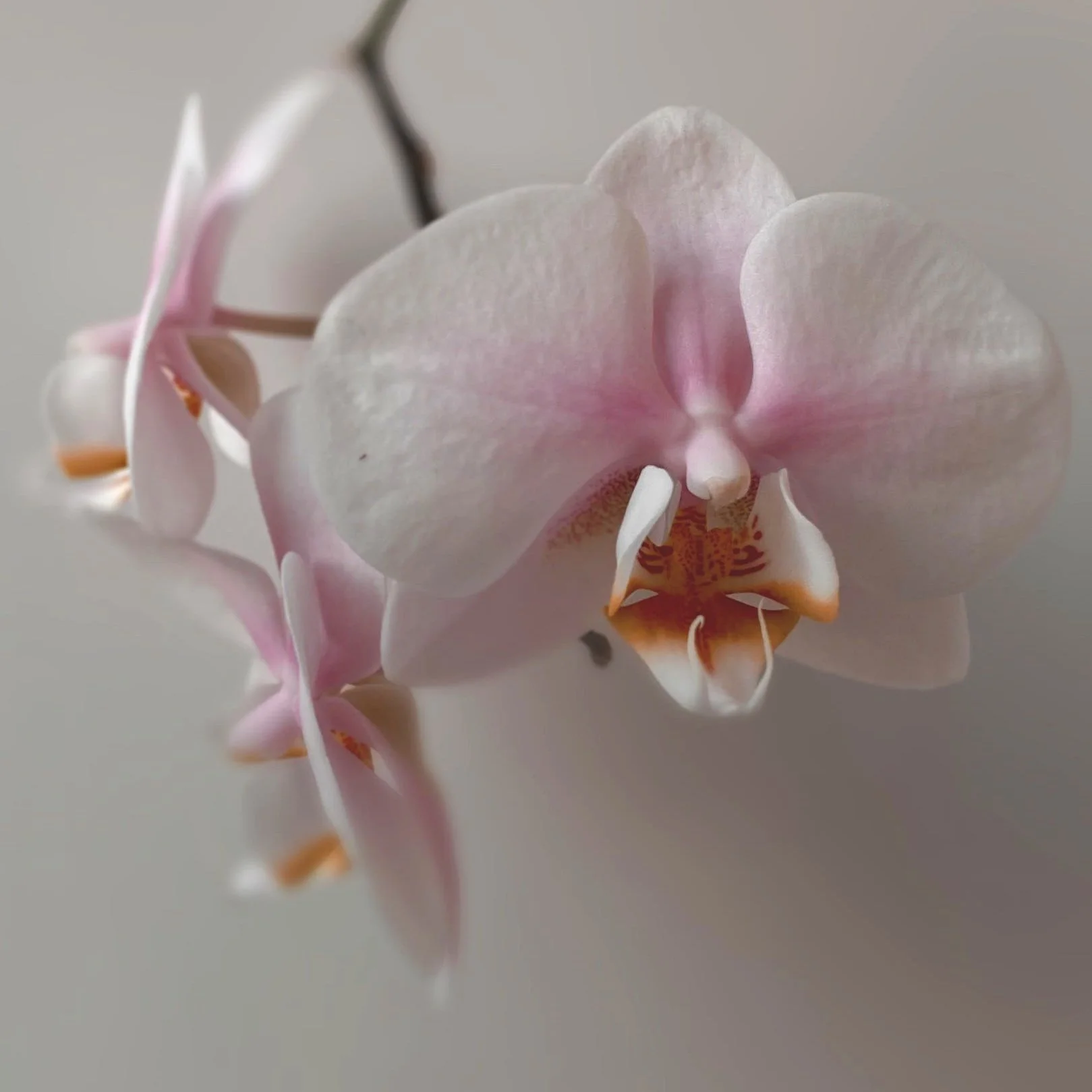 Beauty &amp; Sex: How Good Sex Affects Your Look