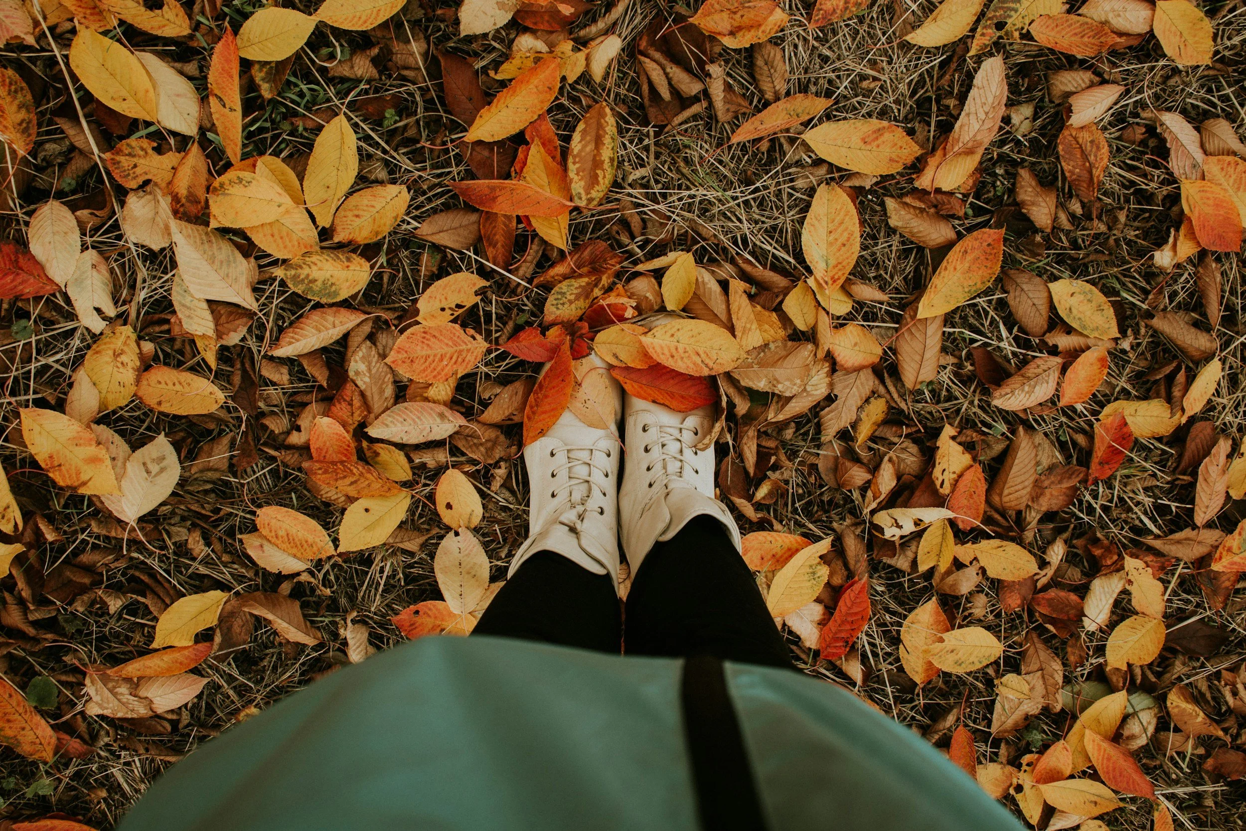 Where Sun-Kiss Ends and Fall Begins: The Fashion Shift!