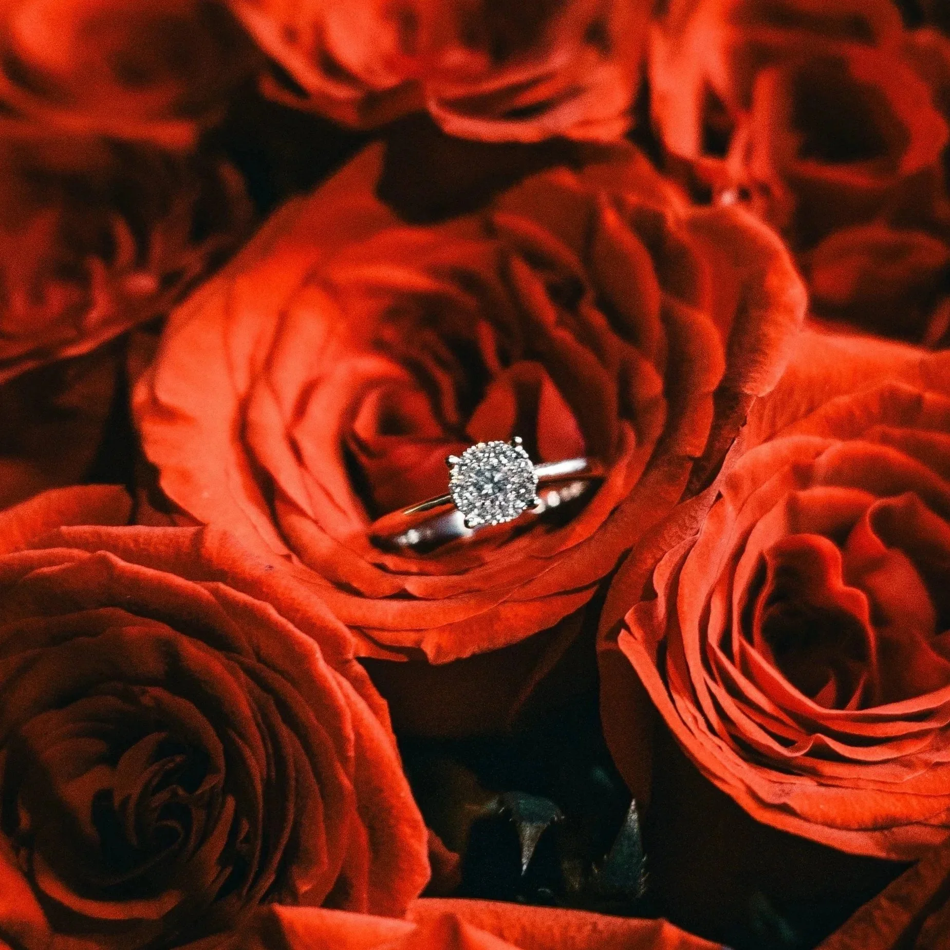 A V-Day Jewelry Guide For Your Girl