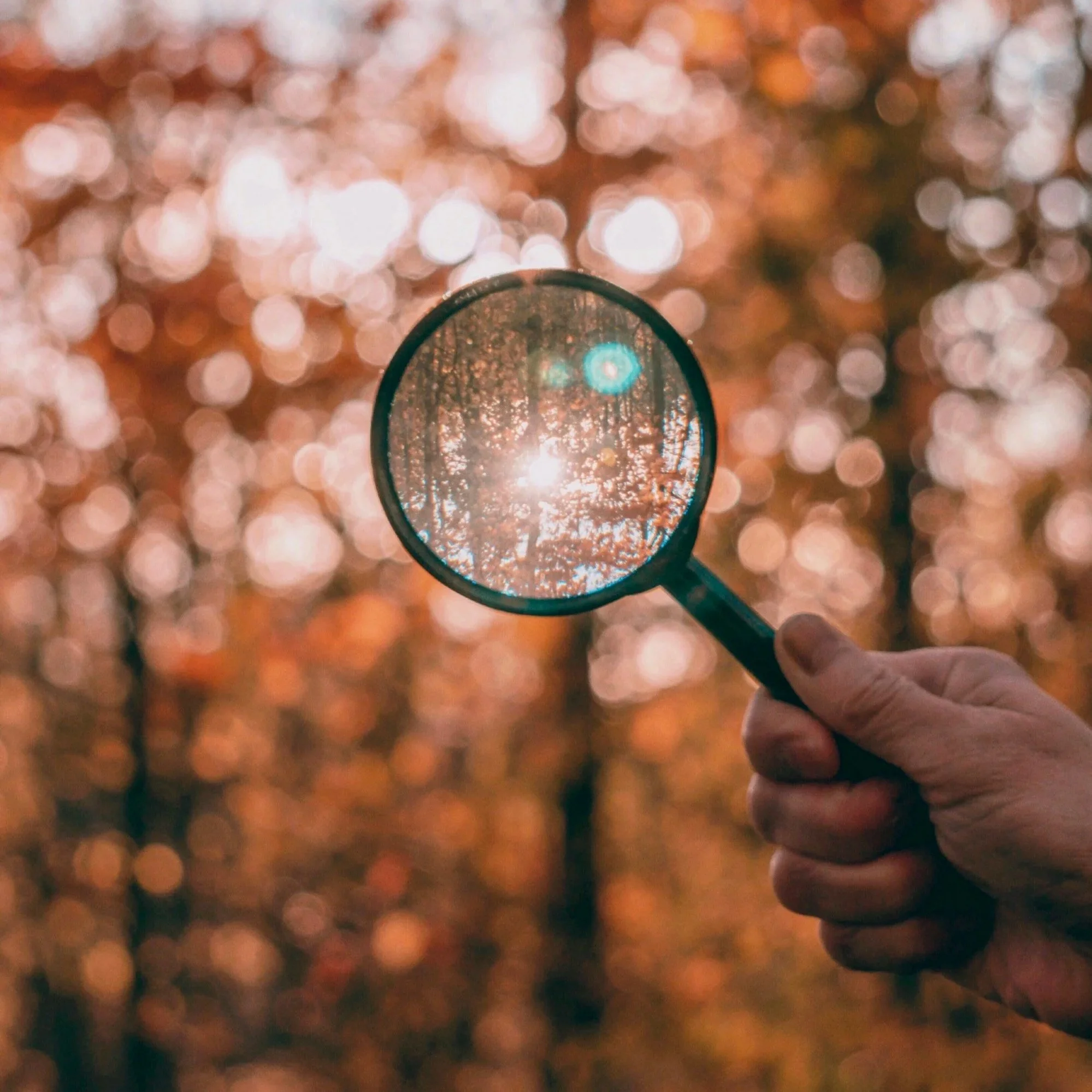 My Top 5 Netflix Mystery Movies