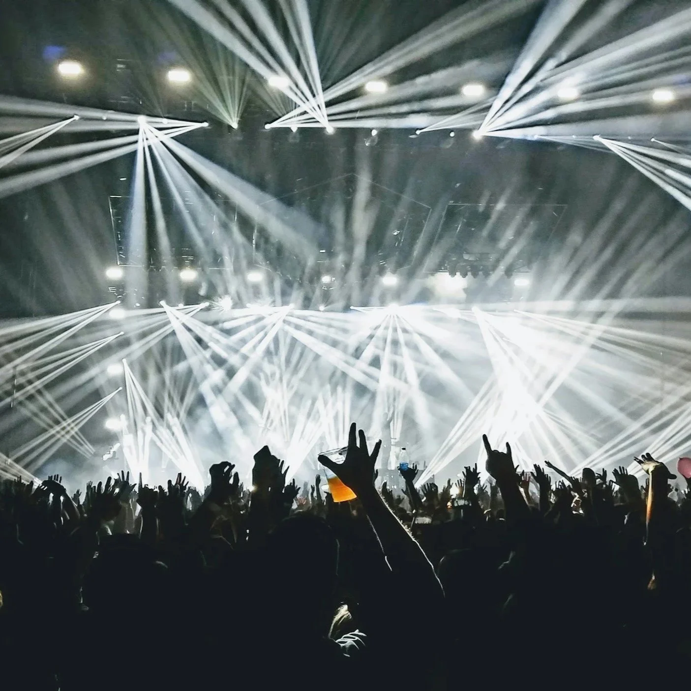 Concert Movies: Why Do People Love Them?