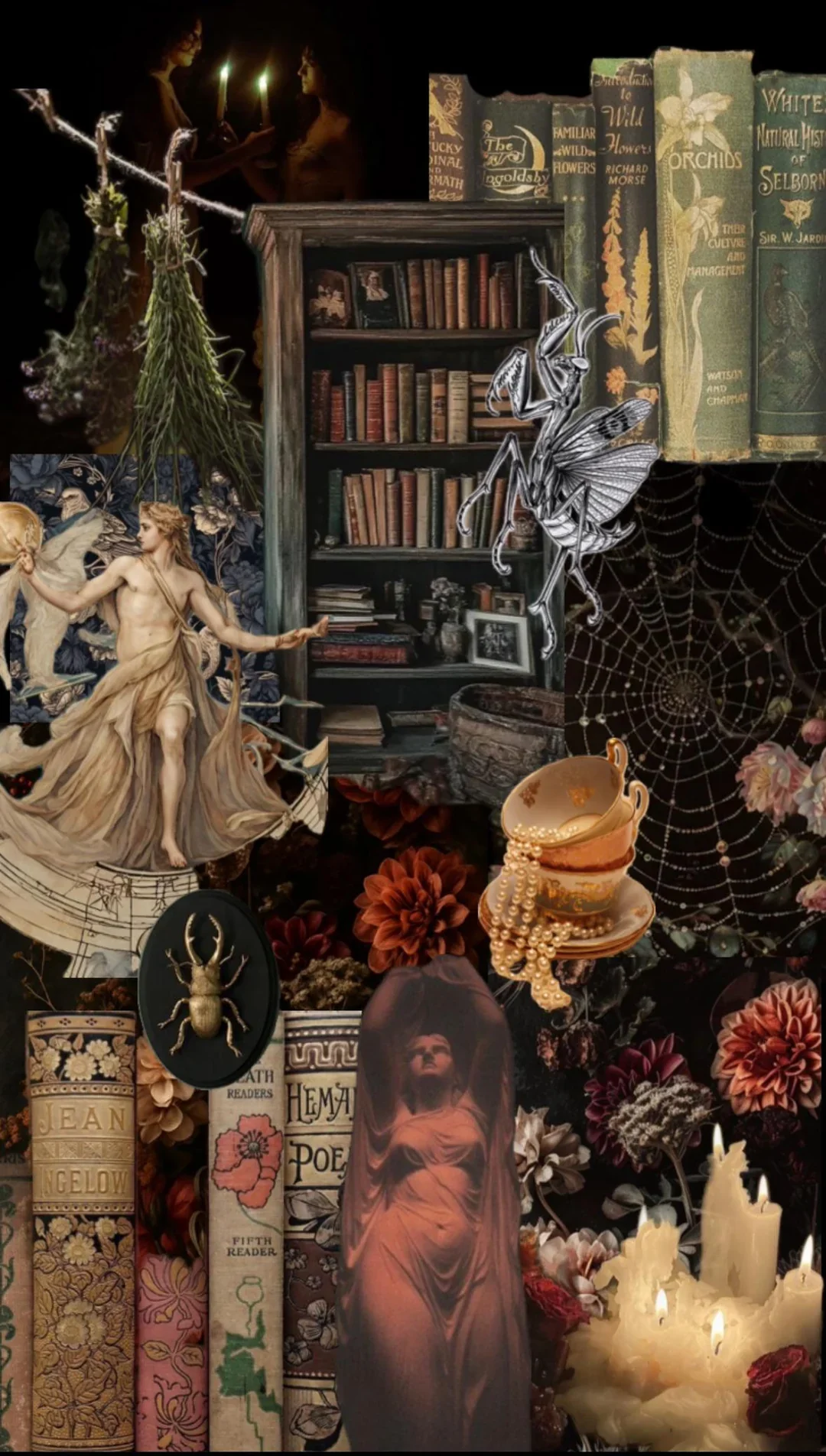 The Alchemy of Scent 