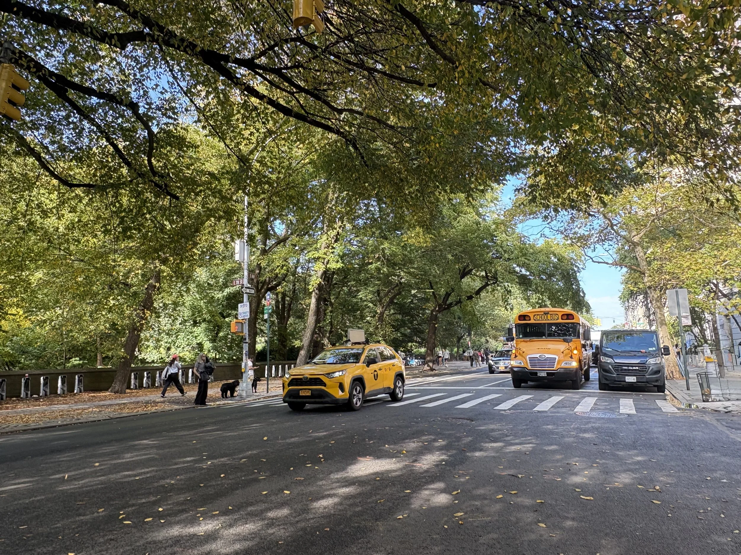 Autumn In New York, According to Locals