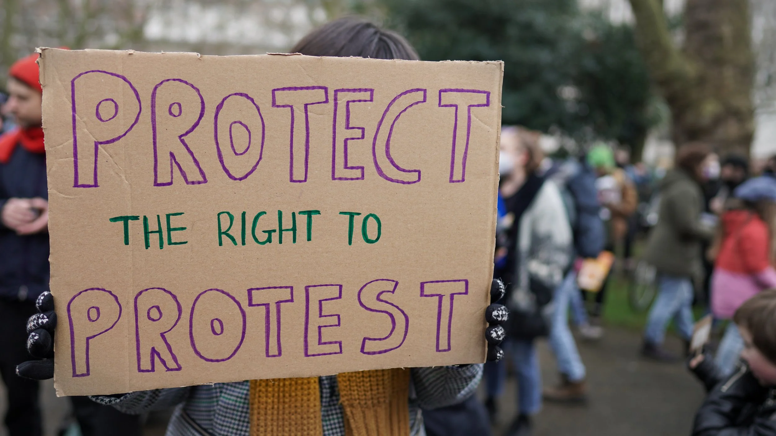 Gen Z Guide To Project 2025