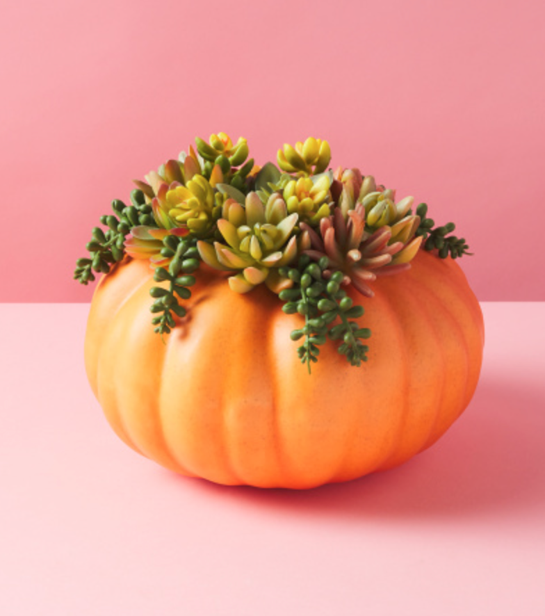Boo!  Has a Scary Good Selection of Halloween Decor—and It's All  Under $25