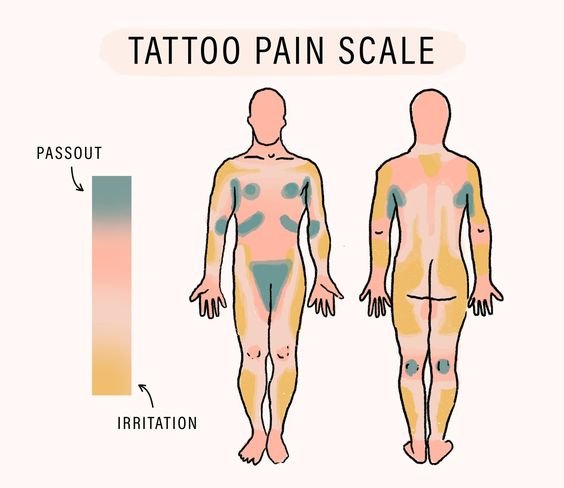 Share 172+ bum tattoo pain best