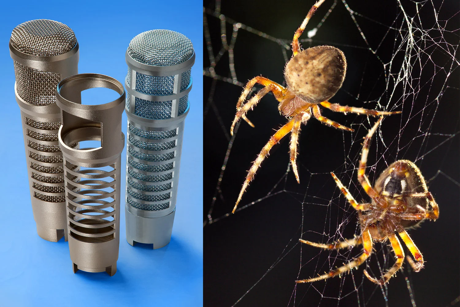 BermoMics Spiders.jpg