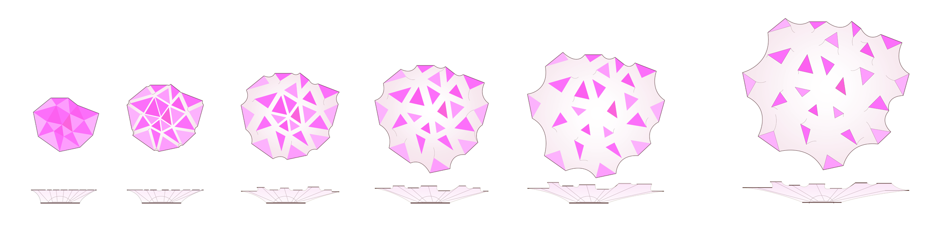 16466480_10210864894972850_1394762084_o.png
