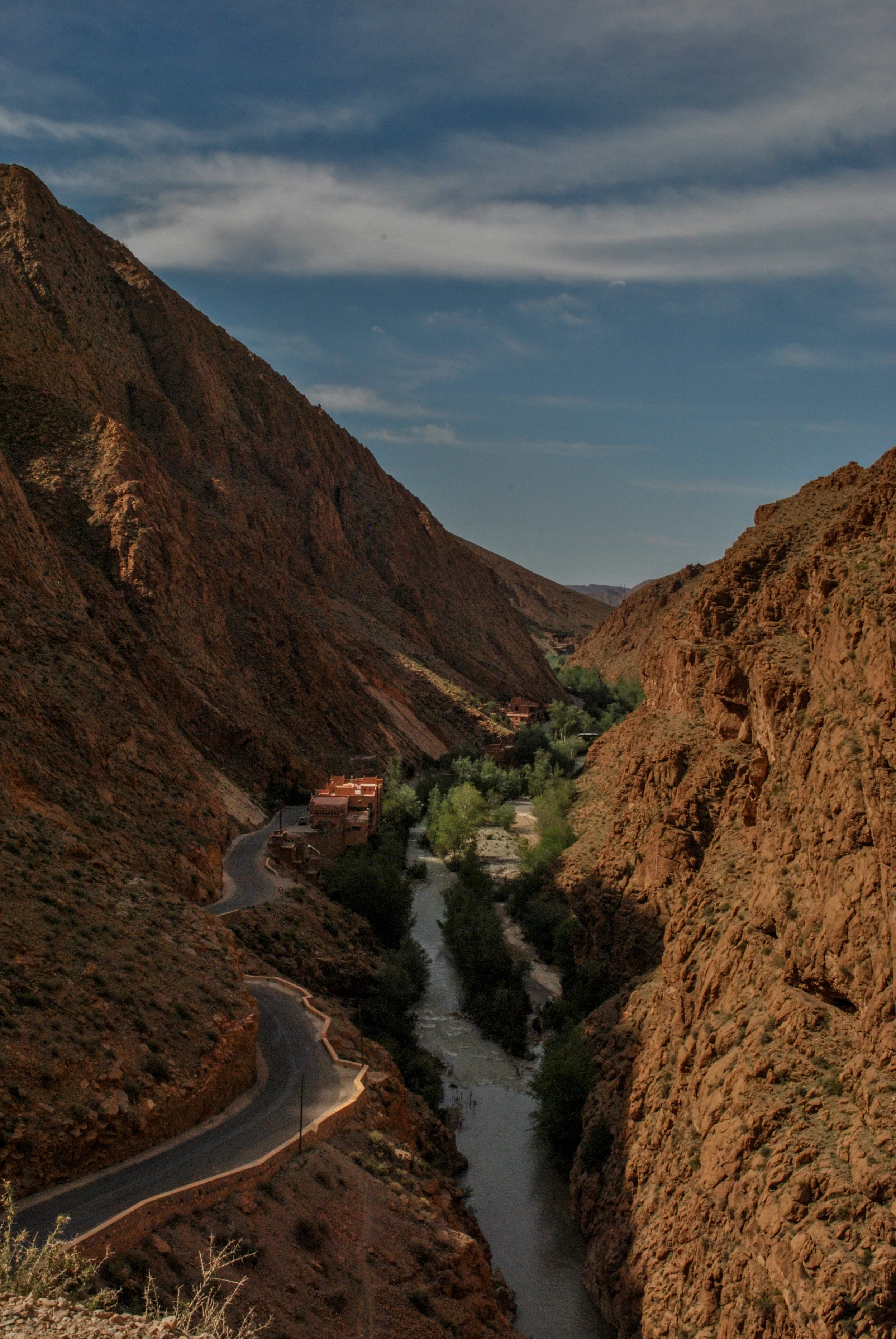 DSC_1159.jpg