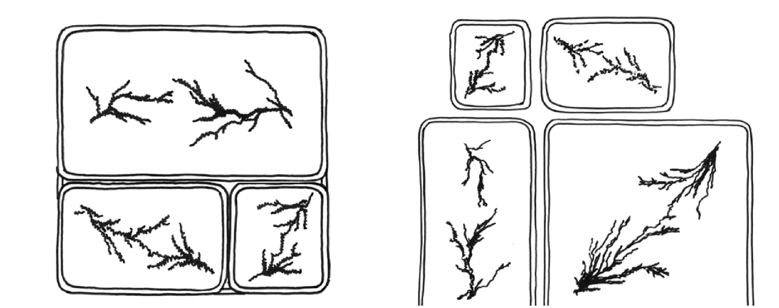 Sketches