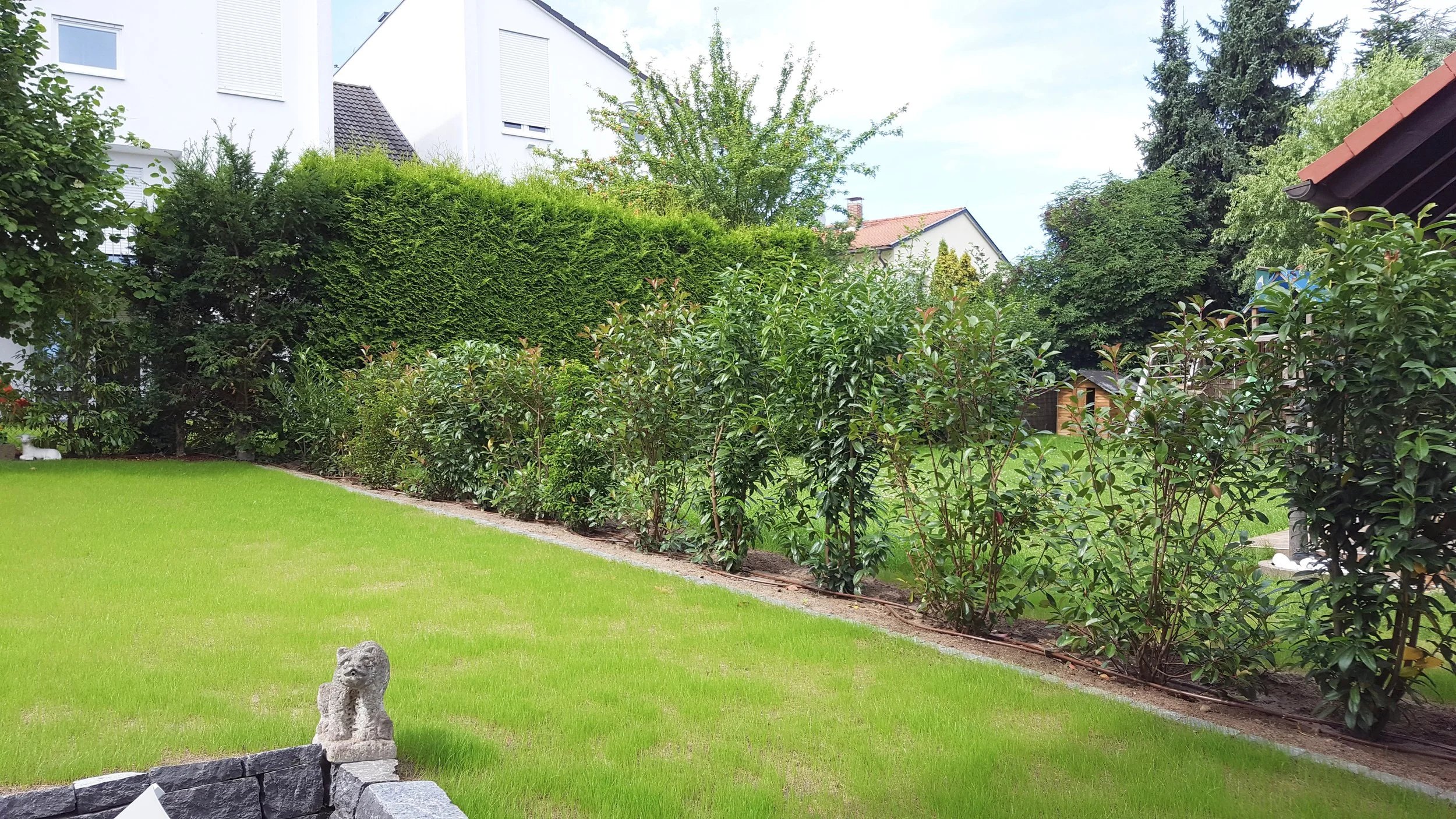 20160813_124248.jpg