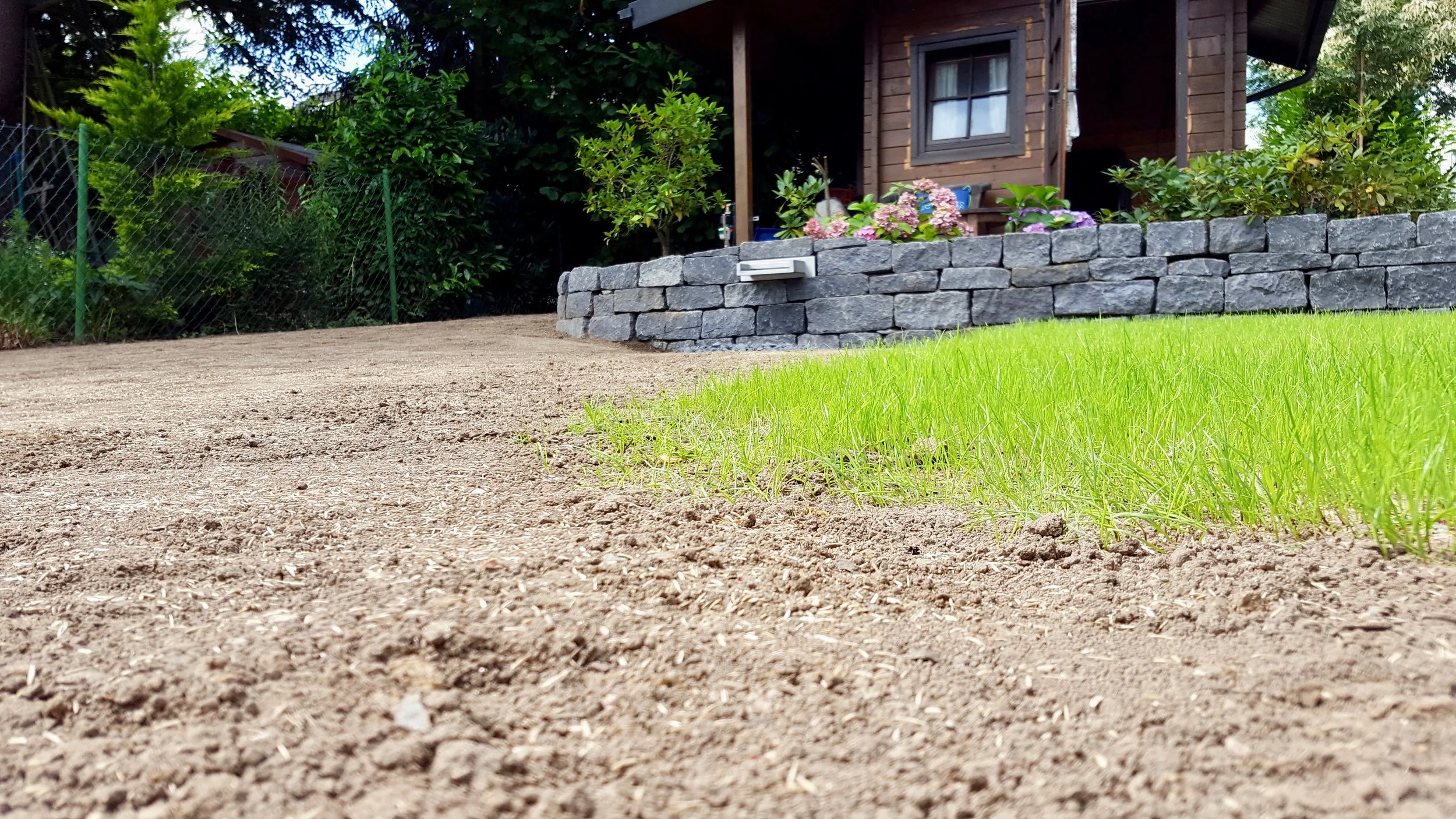 20160813_124643.jpg