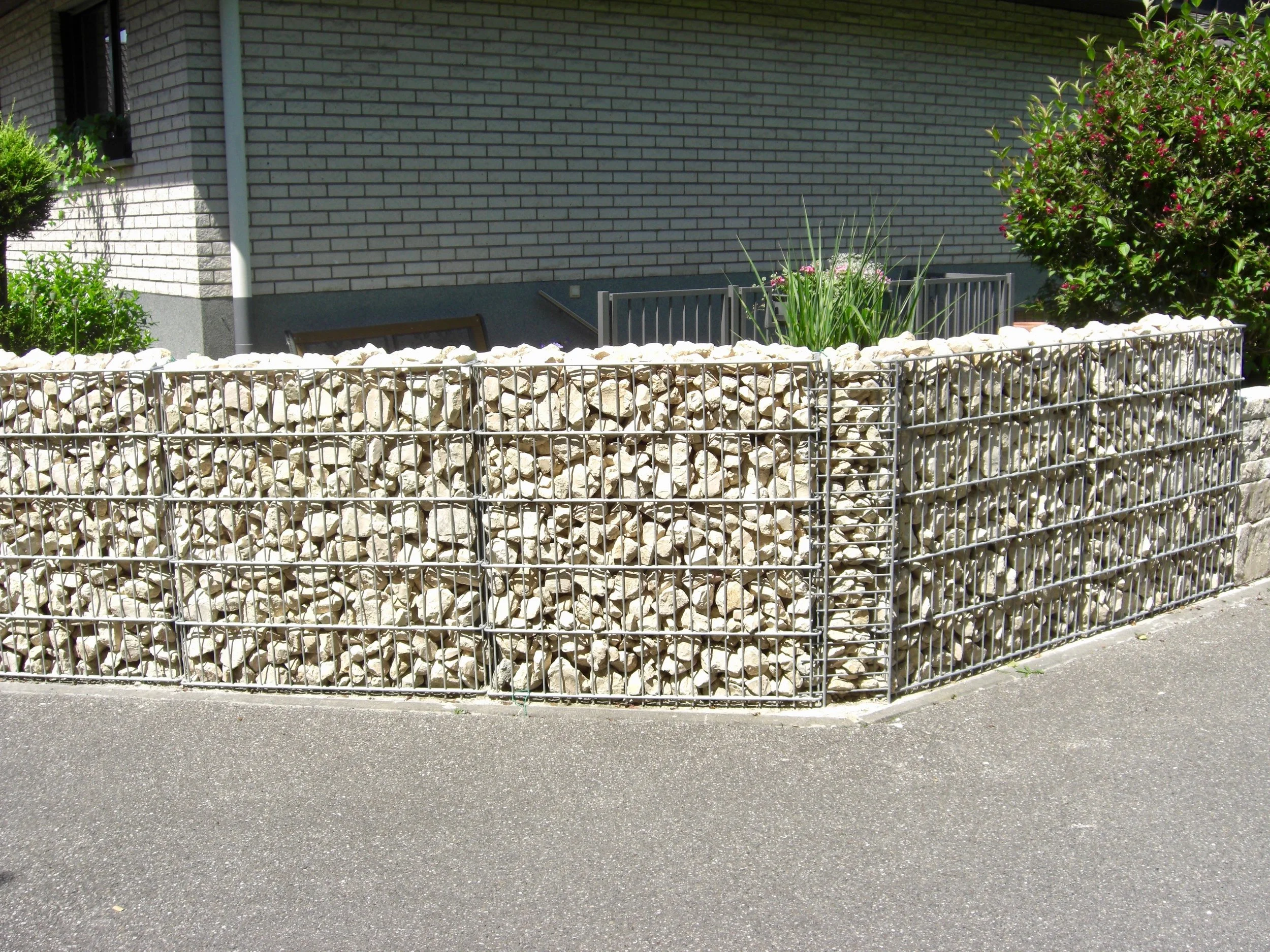 CIMG0632.jpg