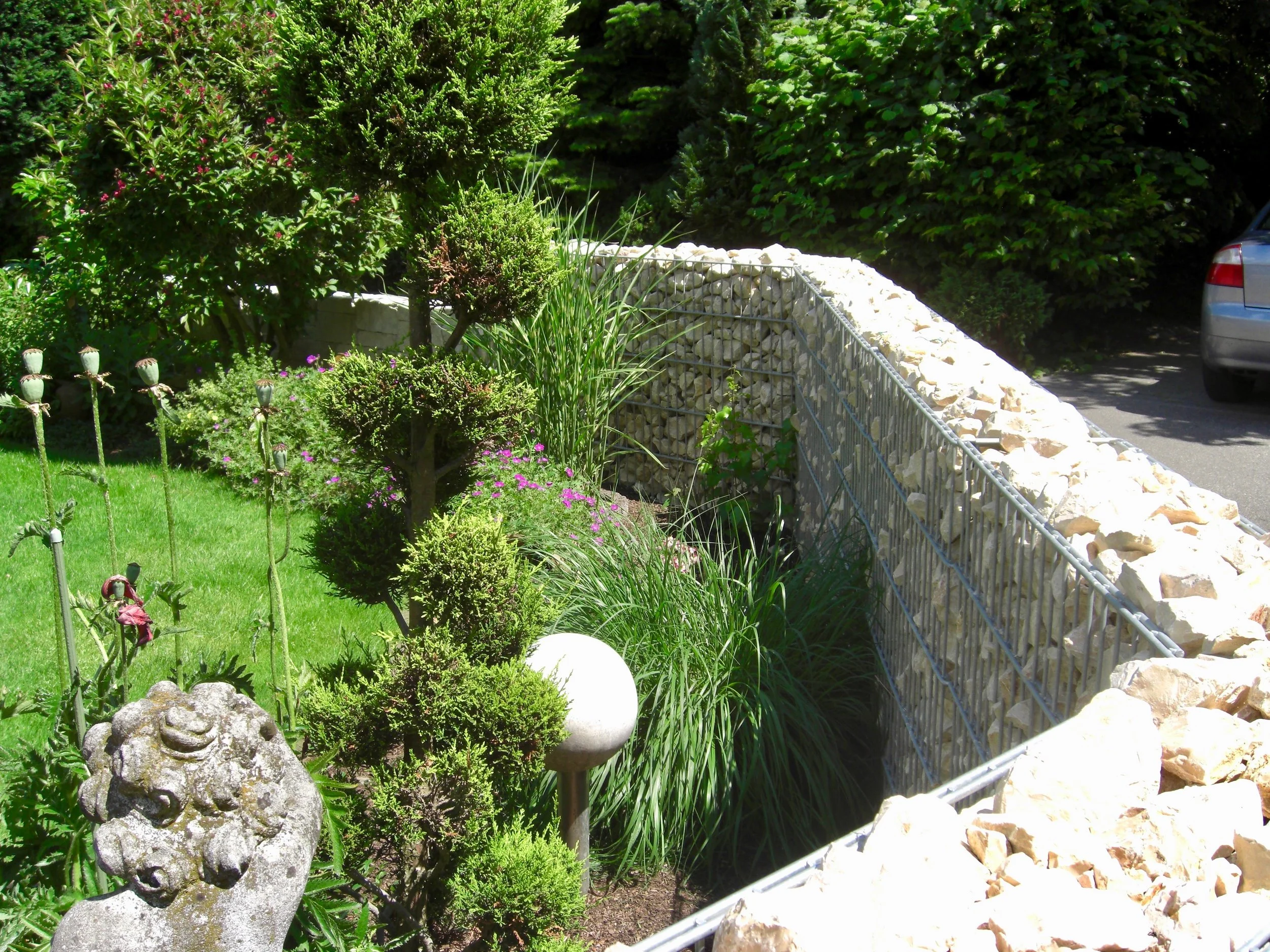 CIMG0638.jpg