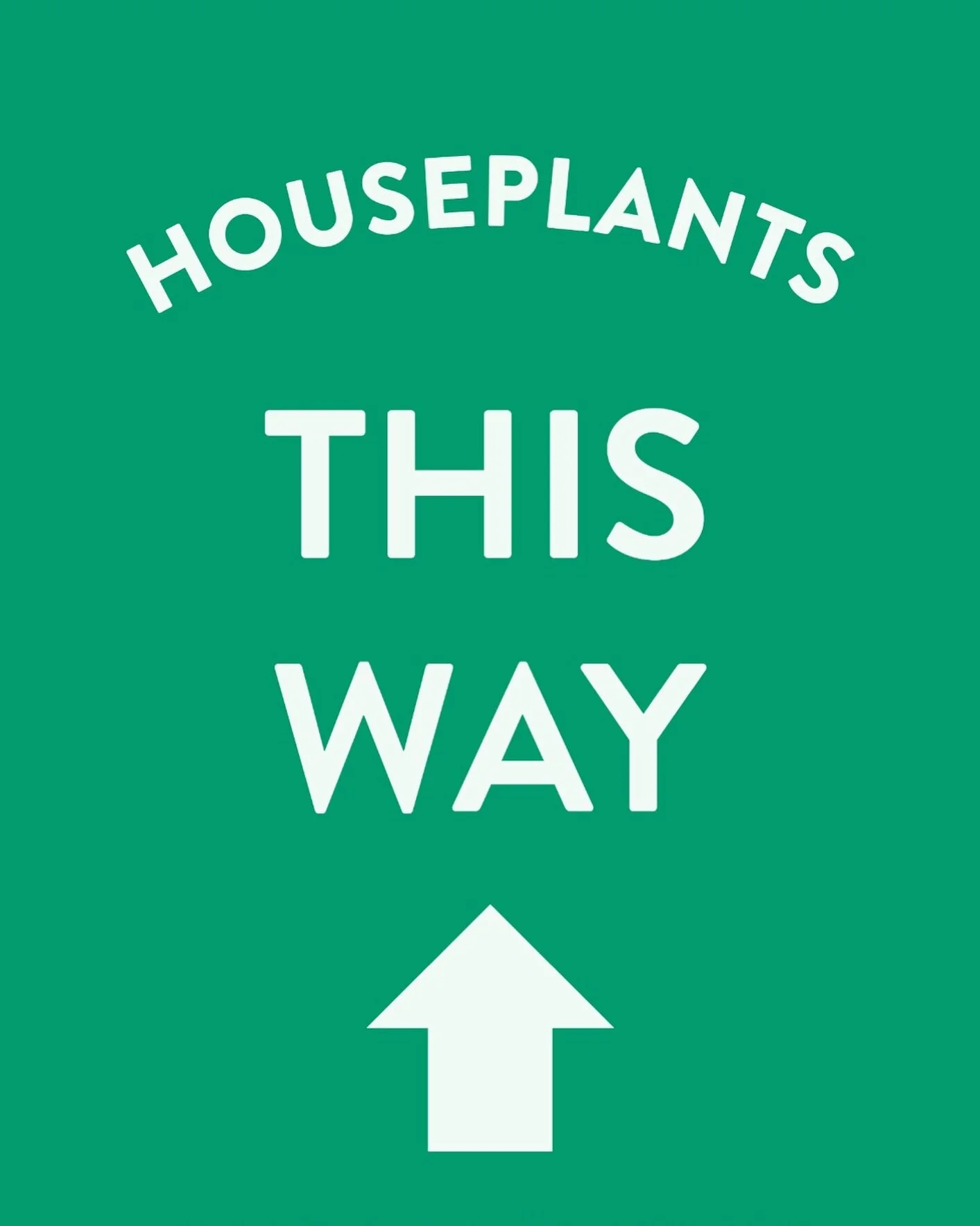 Plant Shop Manchester