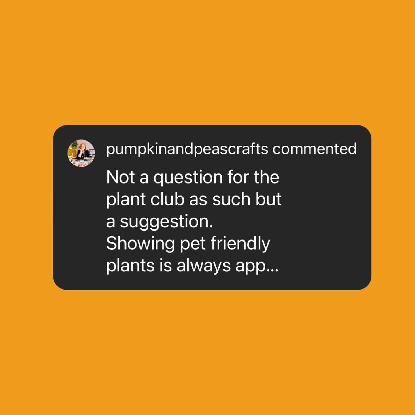 Yesterday we launched PLANT CLUB🍃 Thanks @pumpkinandpeascrafts for our first request&hellip; 
A very popular question pick is &ldquo;Which plants do we recommend are safe for pets&rdquo;

There are many pet-safe, non-toxic plant options for a green 