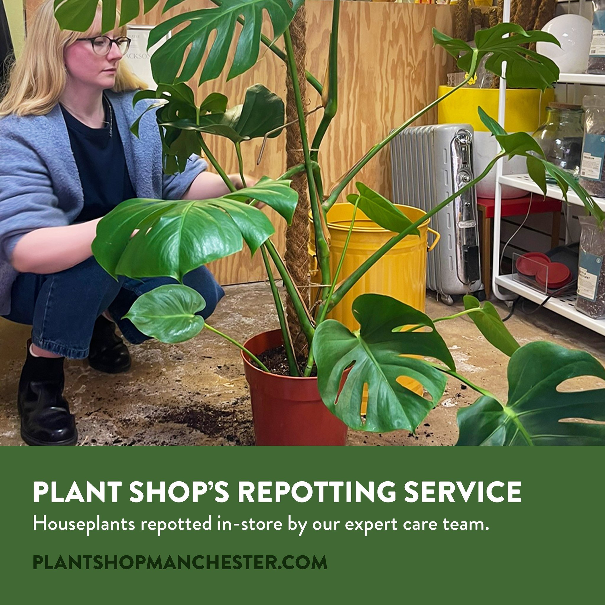 To celebrate EARTH DAY 🌏 we&rsquo;re launching our new in-house repotting service 

From now - September, we&rsquo;re offering our NEW houseplant repotting service from our expert care team. Repotted in-store in Stockport, we&rsquo;ll give your plan