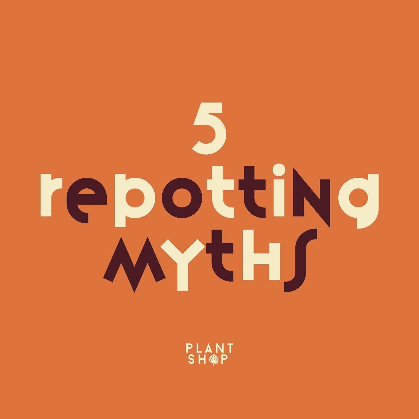 Good morning PLANT CLUB 🍃 Repotting season is now in full swing, since launching our repotting scheme we&rsquo;ve been inundated with questions so we&rsquo;ve put together this package 
for you&hellip;. 

The 5 most well-known repotting myths - DEBU
