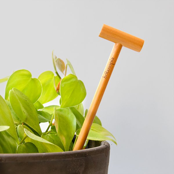 Botanopia-Wooden-Soil-Checker-5.jpg