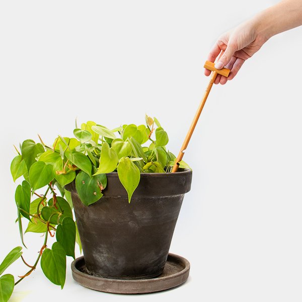Botanopia-Wooden-Soil-Checker-3.jpg