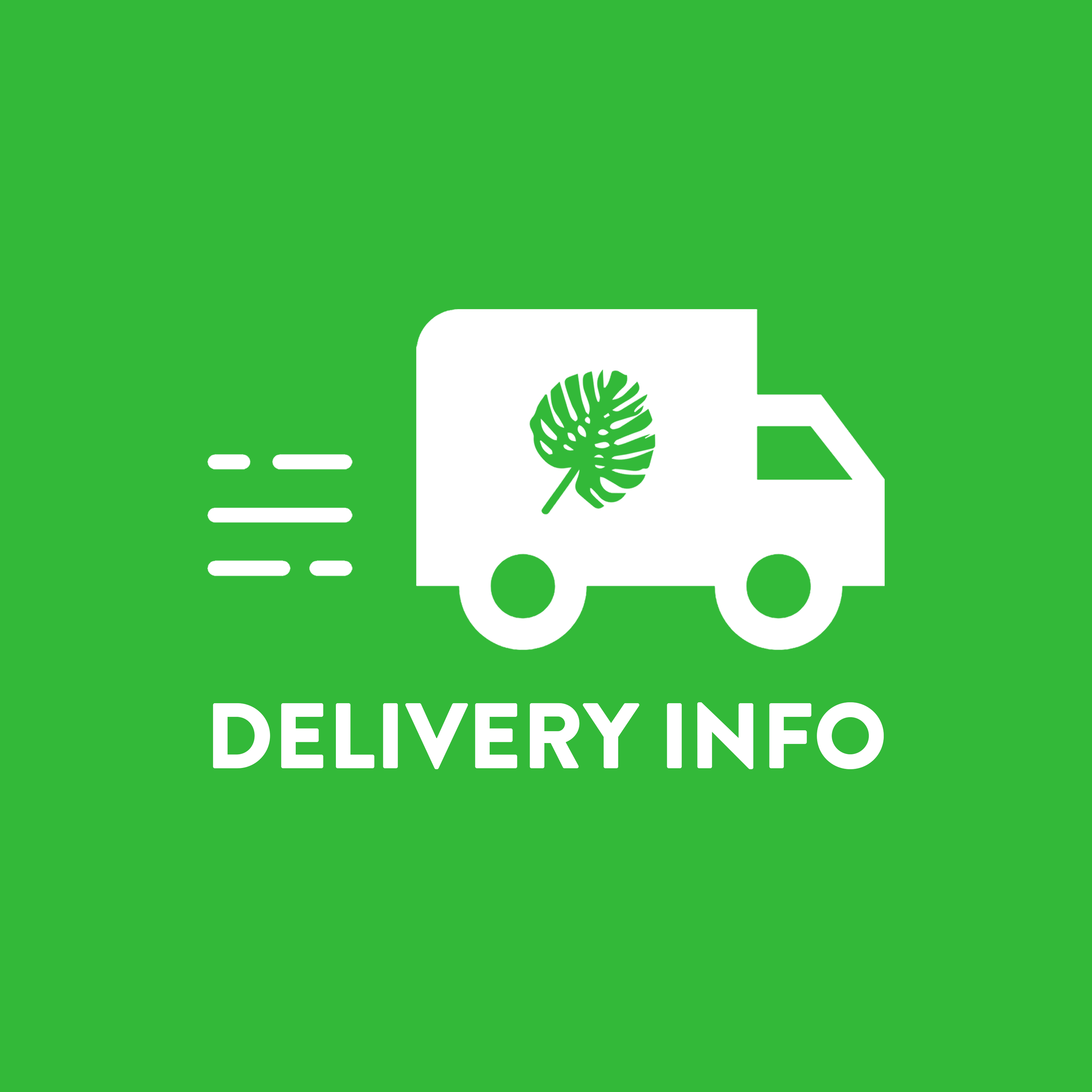 Green background with white delivery truck icon featuring a Monstera leaf, and the words 'Delivery Info' below.
