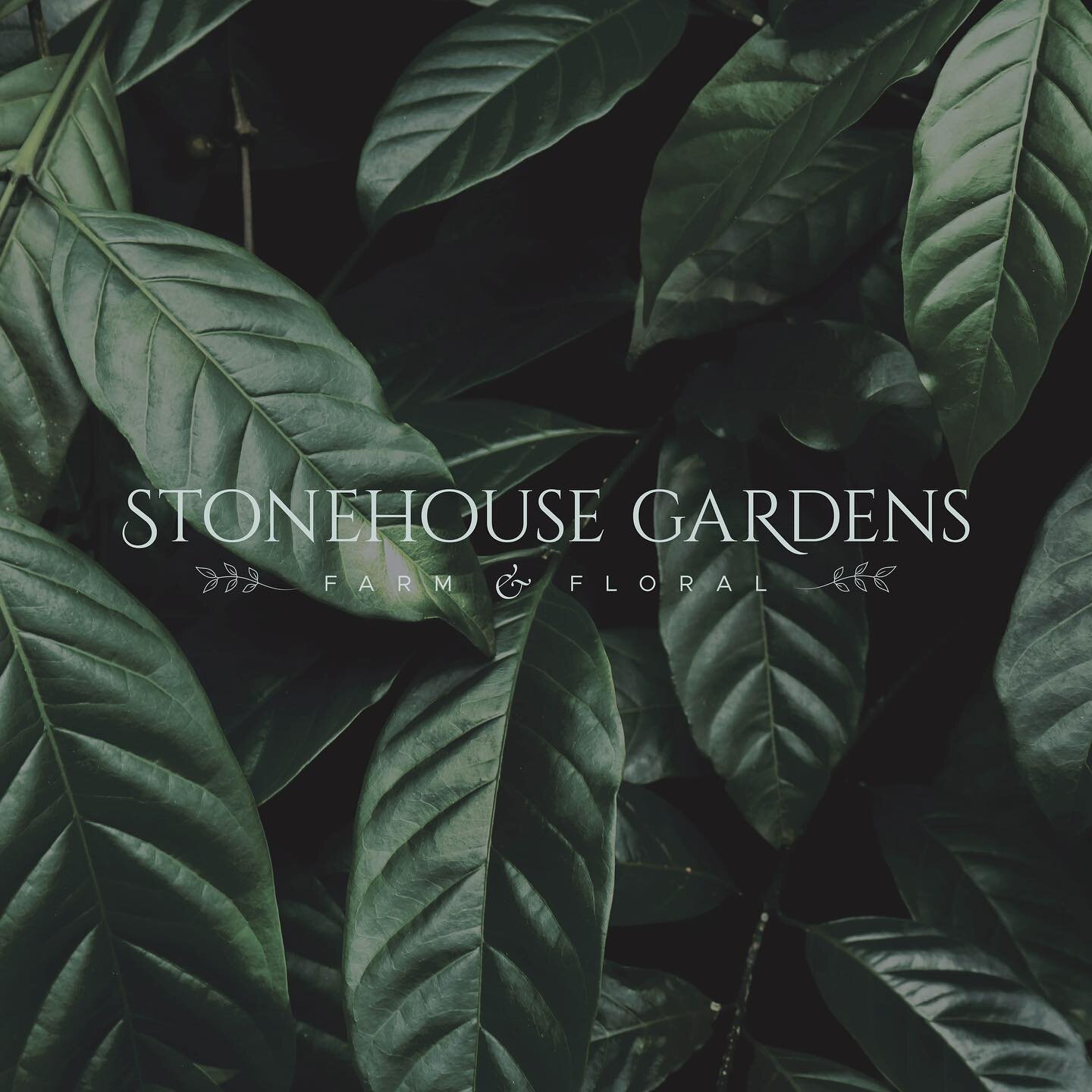 Branding for Stonehouse Gardens - Primary Logo