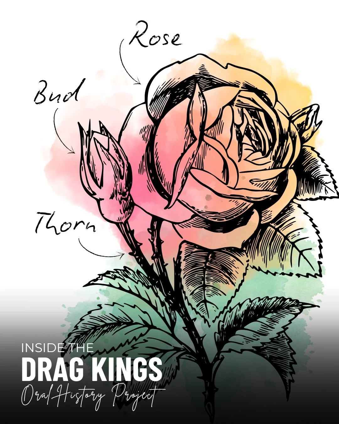 💡 WHAT WE&rsquo;RE WORKING ON 
To kick off the Drag Kings Oral History Project, our team tried a simple rose/bud/thorn exercise while reading&mdash;what resonated, what raised questions, and what didn&rsquo;t sit right. 

💬 WHAT WE NOTICED 
&ldquo;