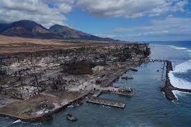  Join The Vulnerable People Project’s sister organization, Movie to Movement, in  Investigating Lahaina:  How did the fire happen, what was its impact on the locals, and where did all the donated money go?         CLICK HERE TO LEARN MORE    