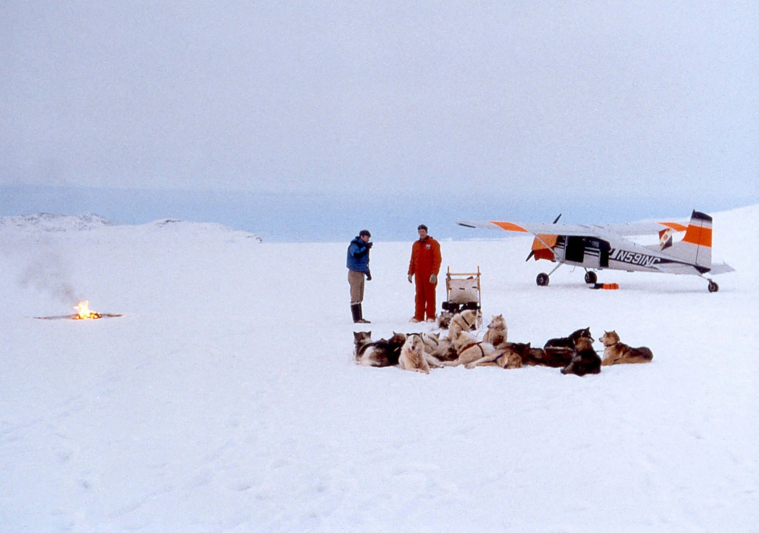 picGreenlandPlaneDogsledTomClaytor.jpg