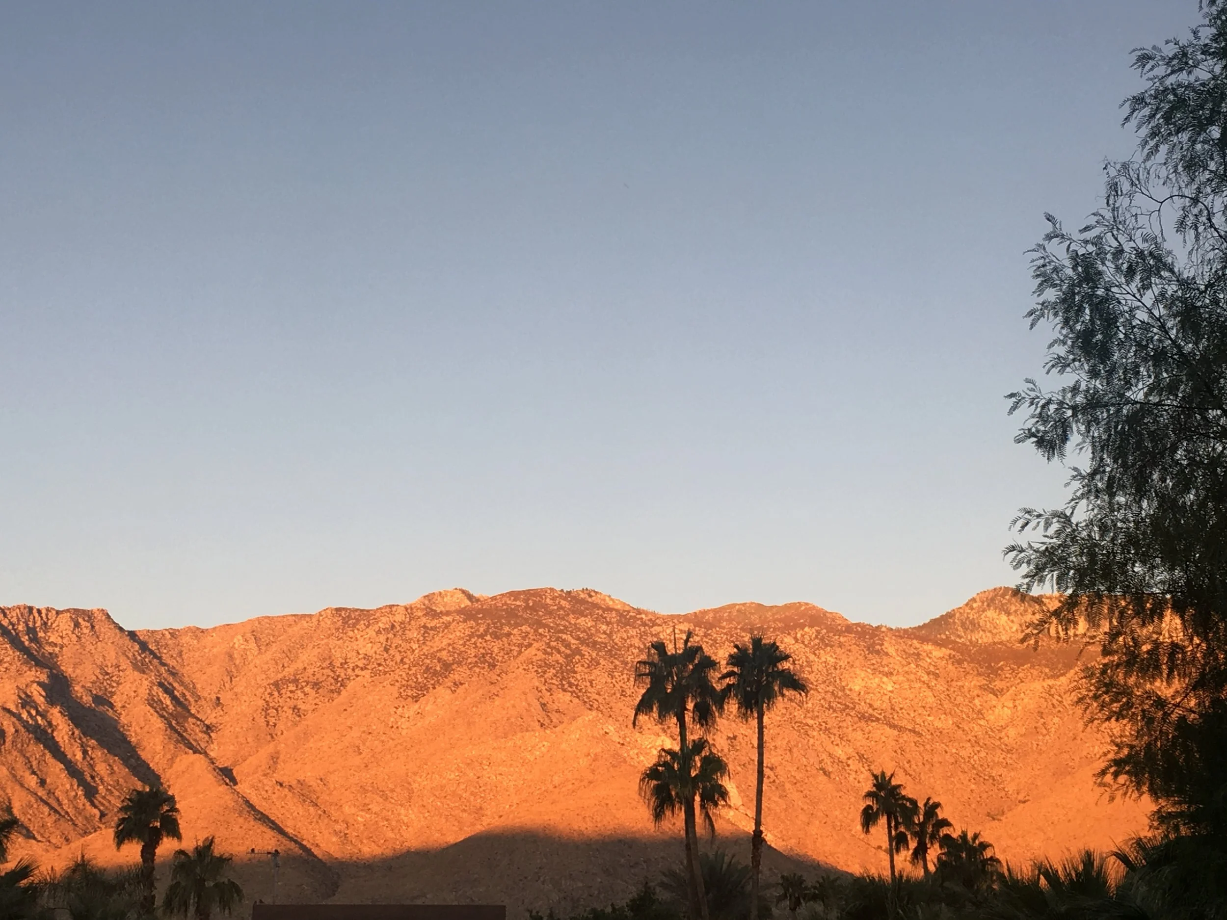 PS MOUNTAINS.jpg