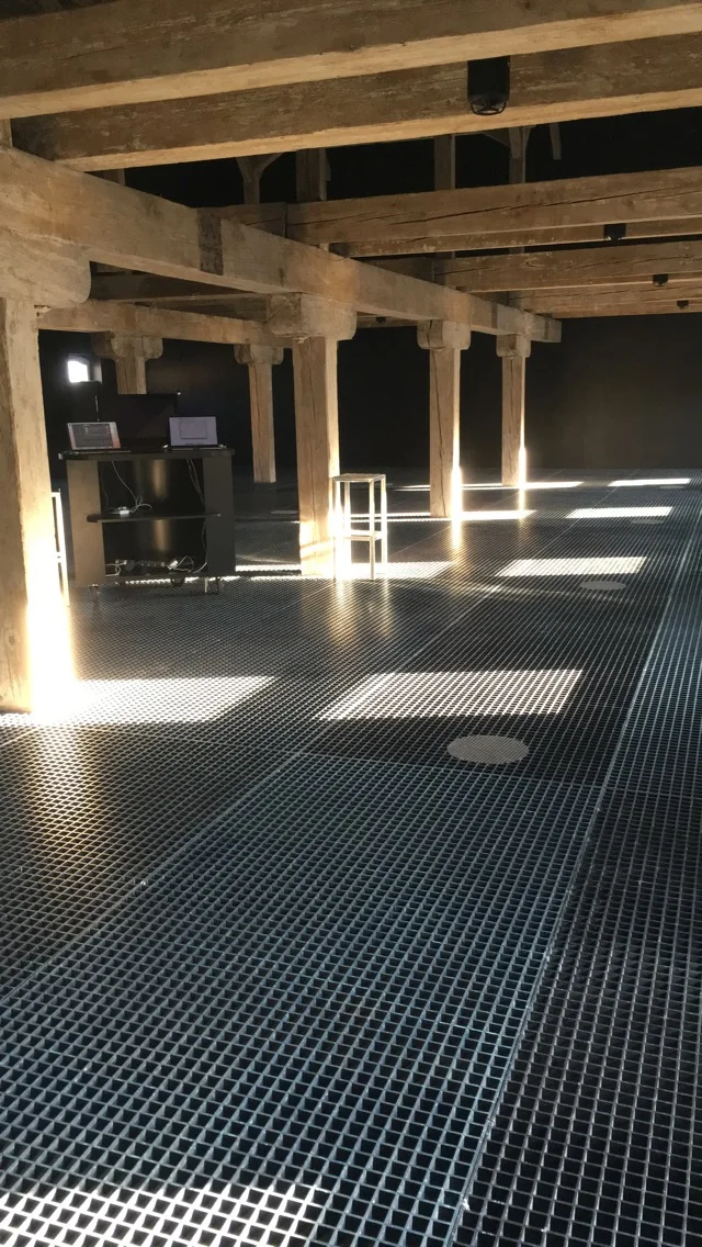 Day 5 • working from computer