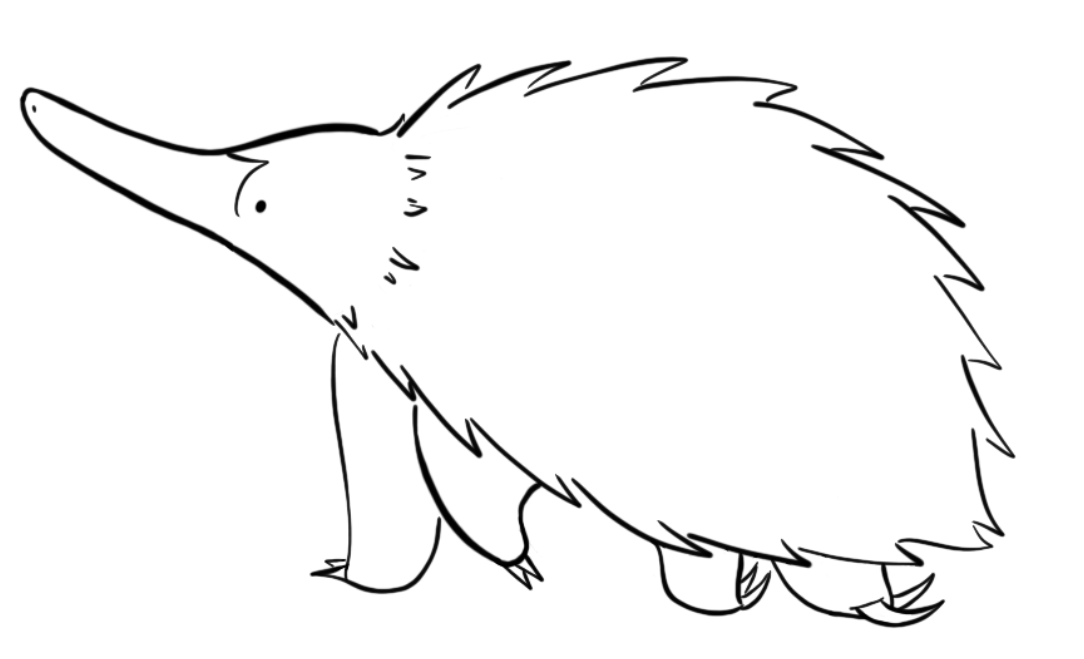 Echidna logo