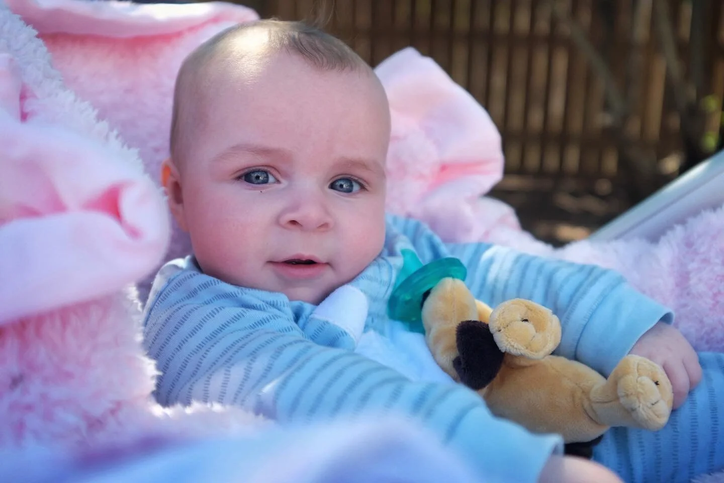 She&rsquo;s growing up too fast 😳

6 months old and cuter than ever!

#baby #daughter #chillin #fuji #fujix100f #girldad #beautiful #blueeyes
