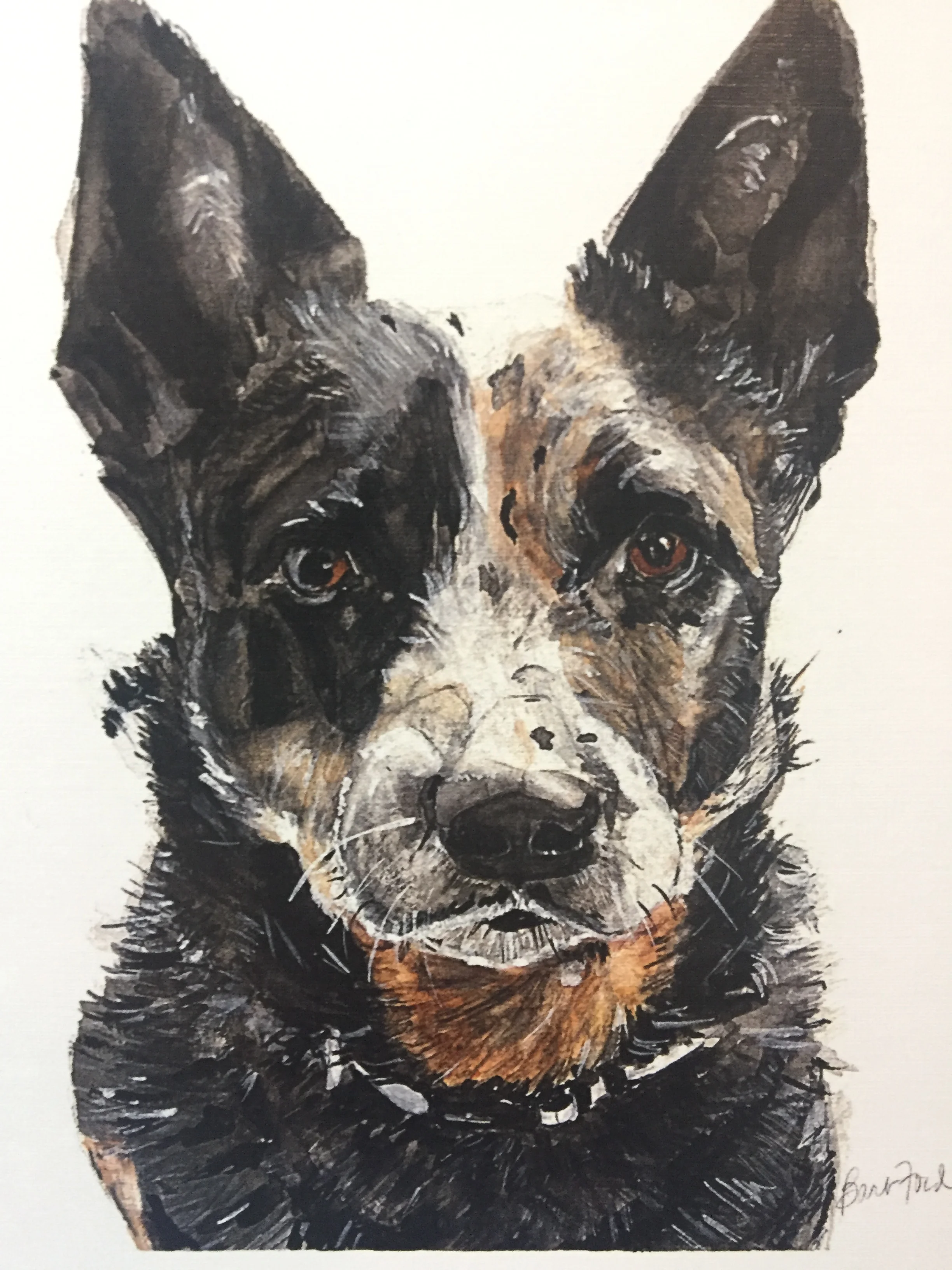 Dixie makes her debut