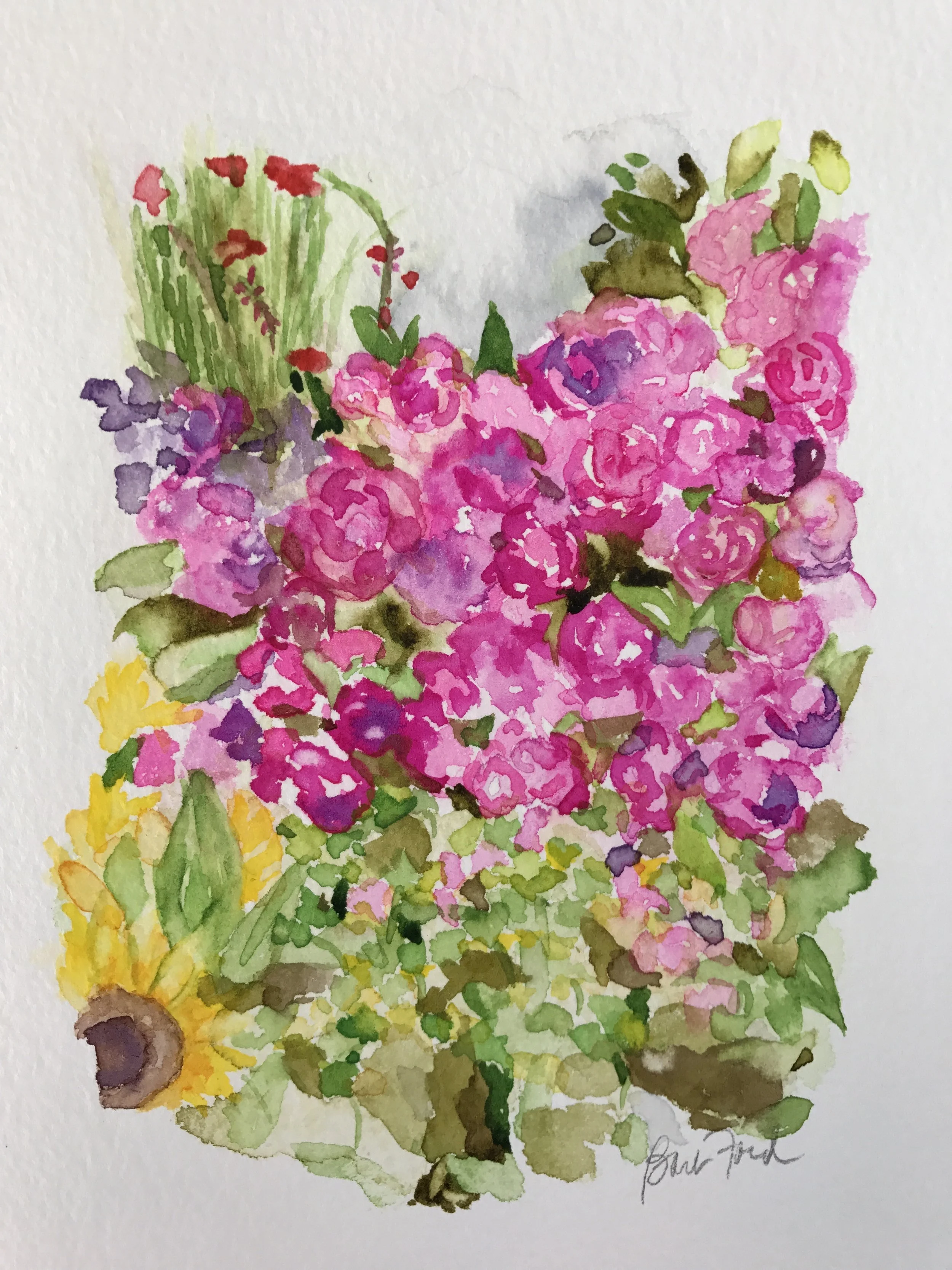 Happy Birthday Lucia!