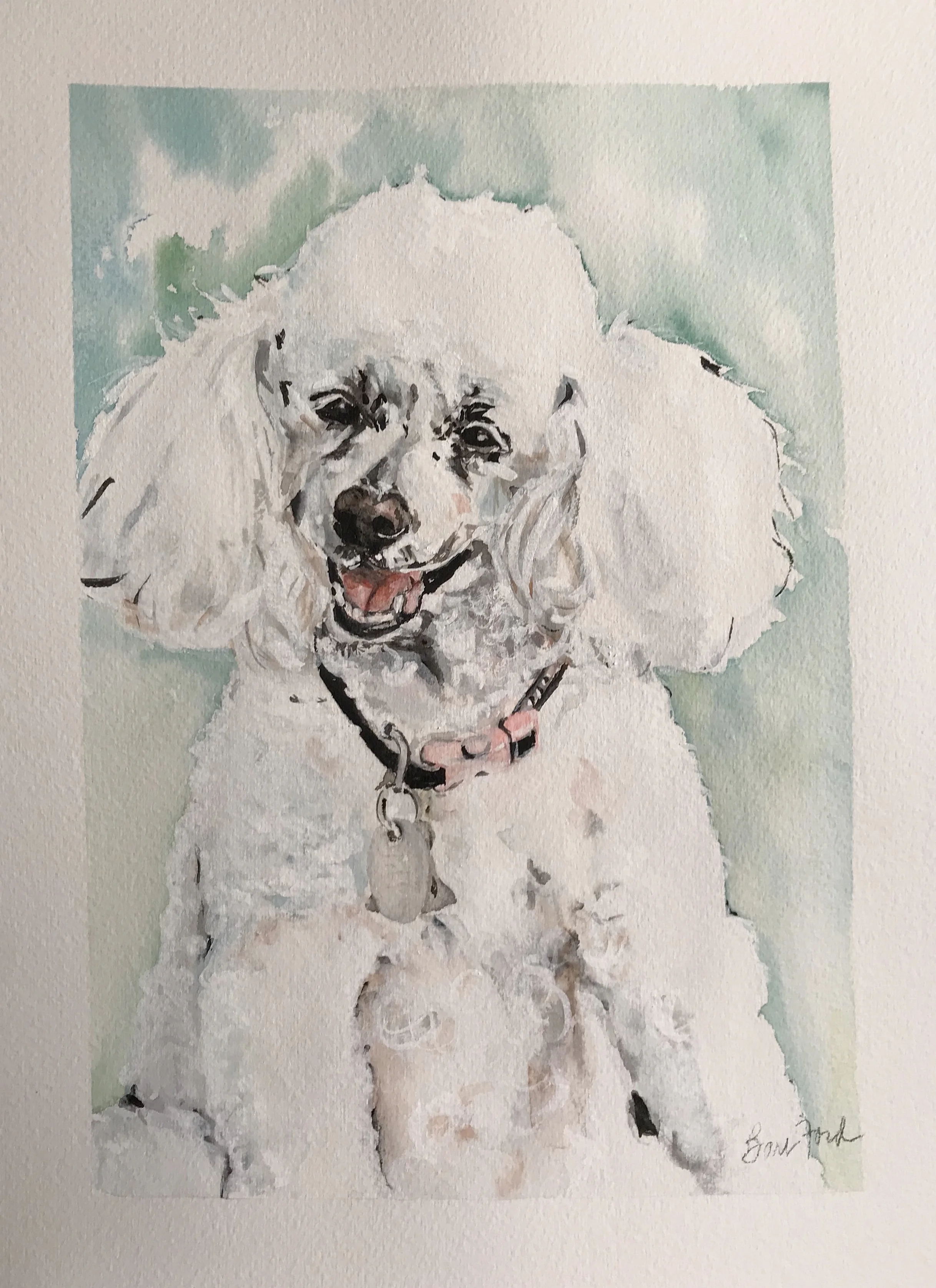 Introducing Tiffany!