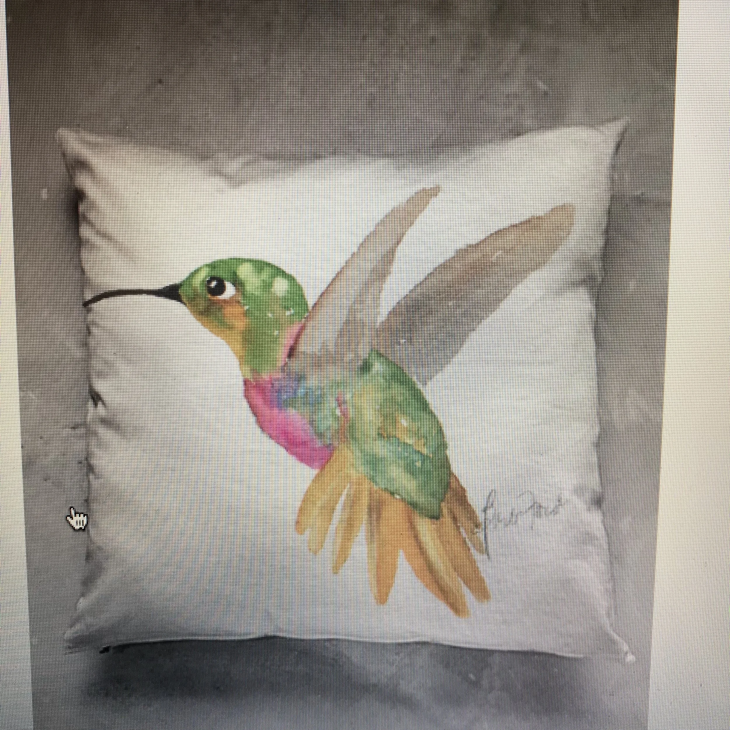 Green Headed Hummingbird 