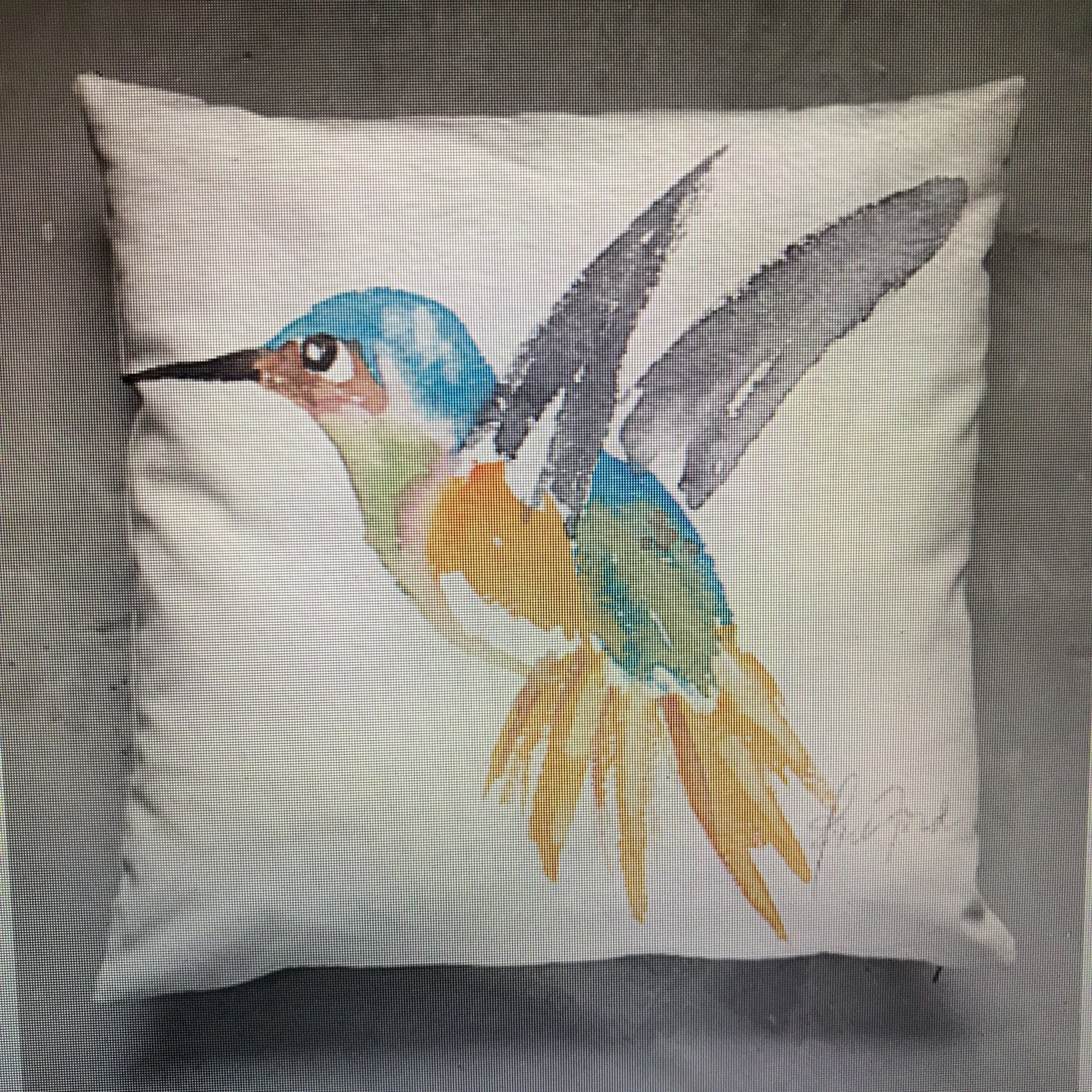 Blue Headed Hummingbird