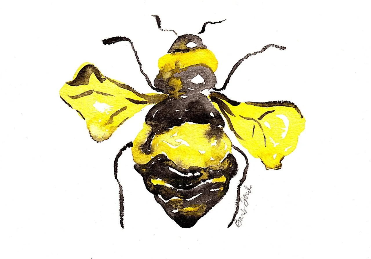 Bee.jpeg